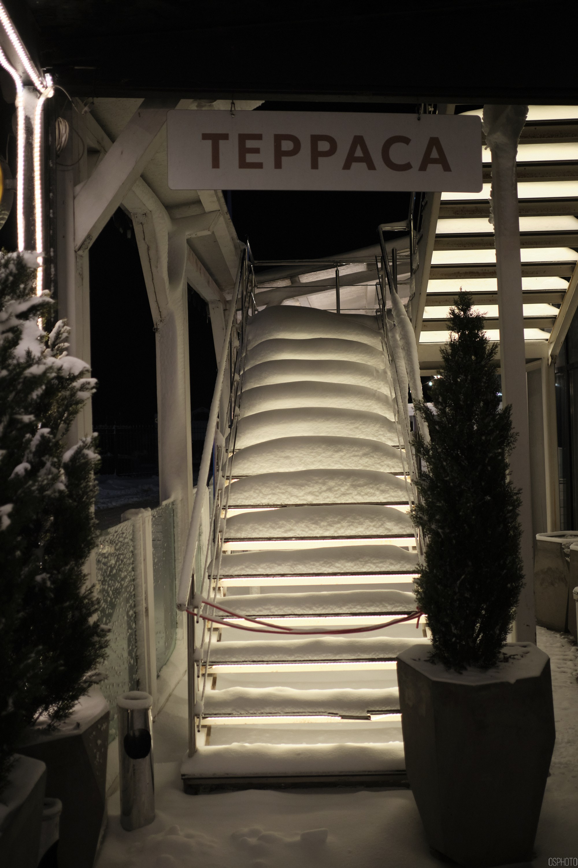 Снег и туман в Санкт-Петербурге. Фотографъ Сергѣевъ. Поймать мгновеніе