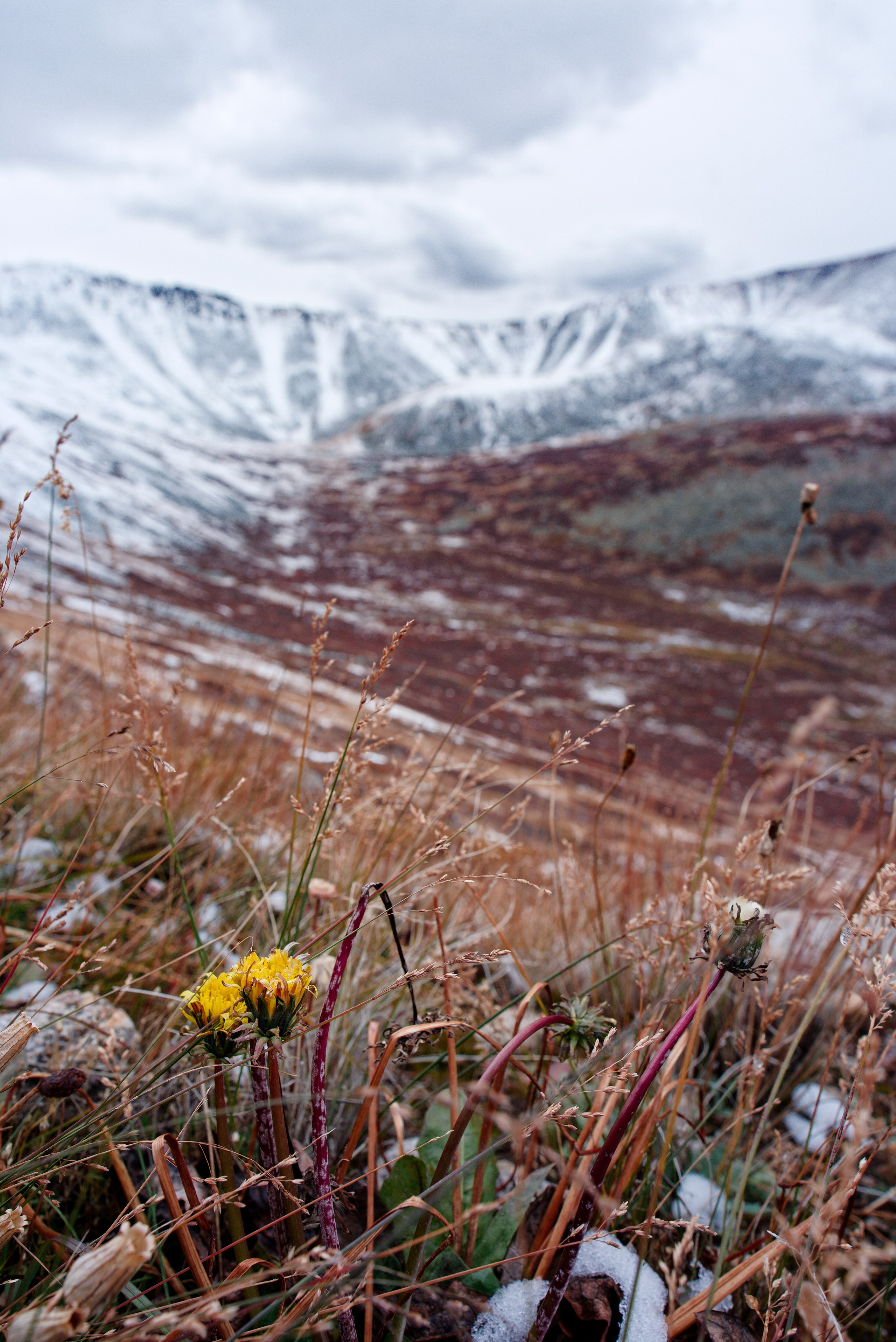 Путешествие по южному Алтаю. Семоха Валерий. Фотограф