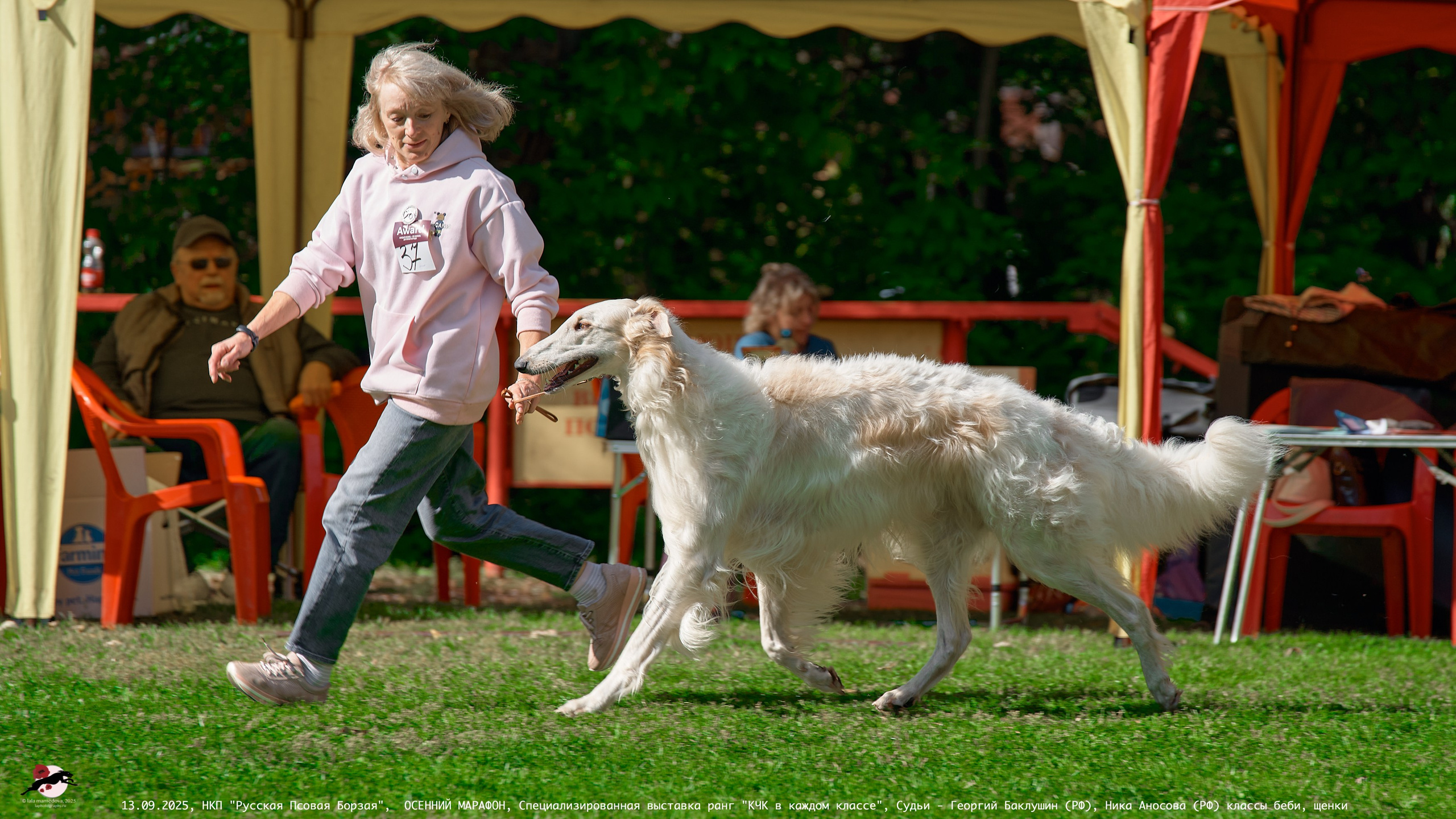 ОСЕННИЙ МАРАФОН | Специализированная выставка породы Русская Псовая Борзая ранг "КЧК в каждом классе"