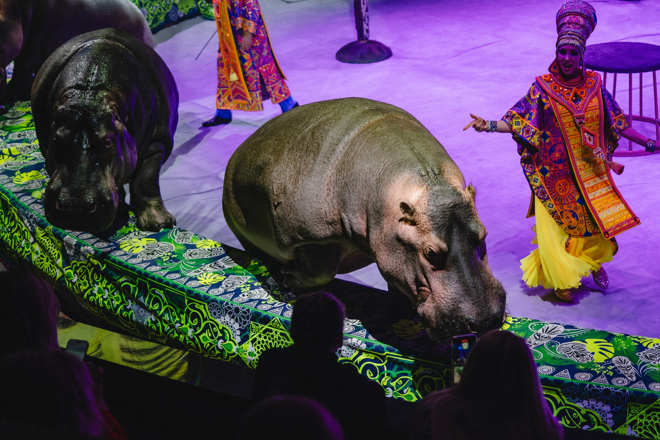 Пресс-показ шоу «Песчаная Сказка». Воробьева Ксения — Спортивный и танцевальный фотограф Новосибирск