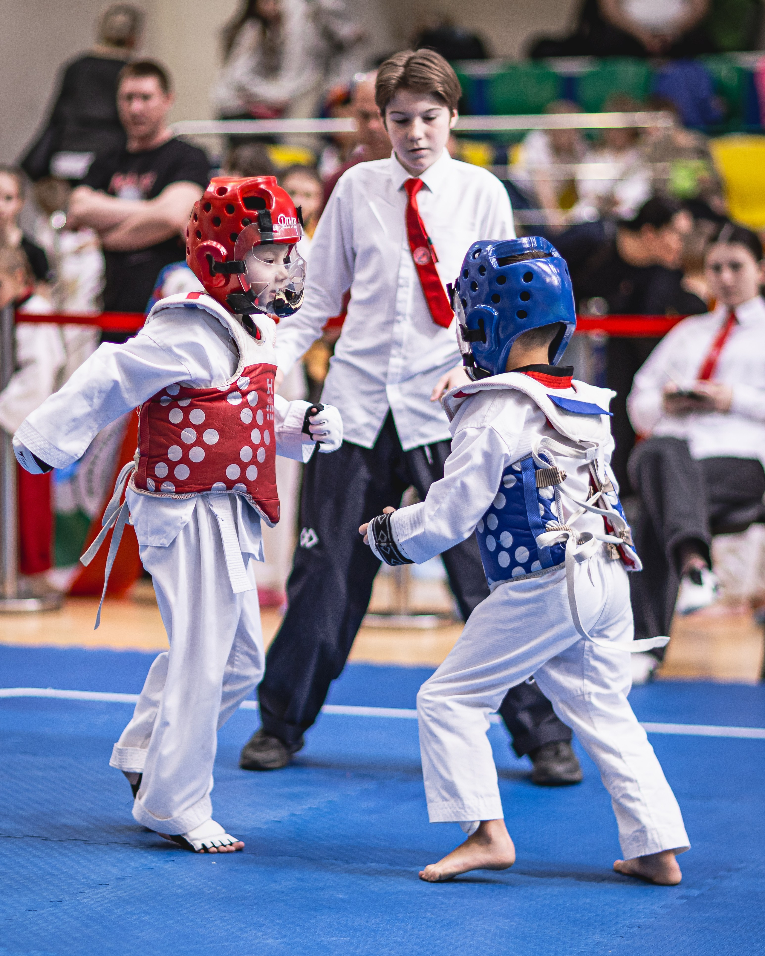 Турнир ВДЮФСОО «ФЕДЕРАЦИЯ ДЕТСКОГО ТХЭКВОНДО РОССИИ» и МОО СПКЕ «ЭРИДАН» по «СПОРТИВНОМУ БОЮ КЕРУГИ». Спортивный фотограф Максим Серегин