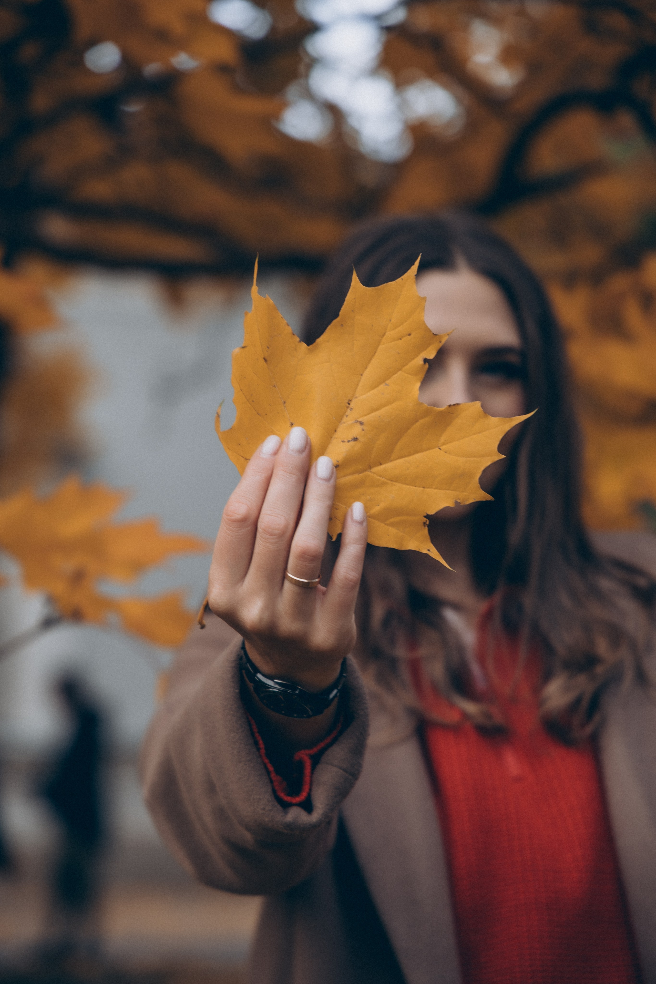 Лиза —осень