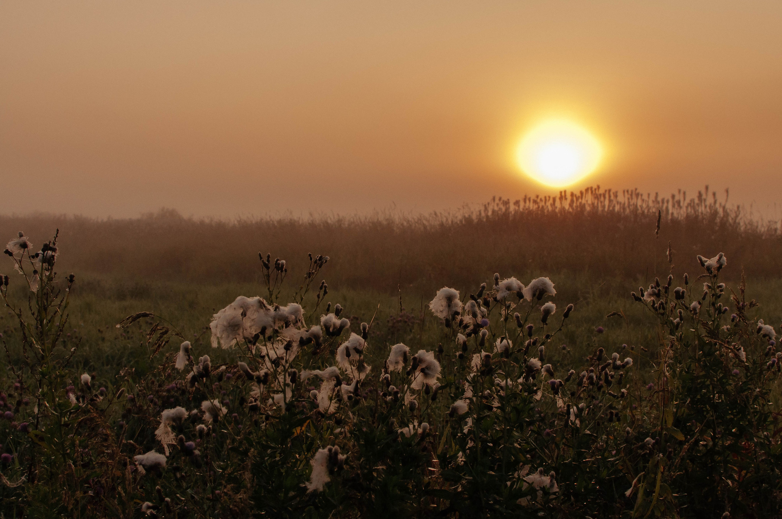 Семейный фотограф из Петрозаводска, Карелия