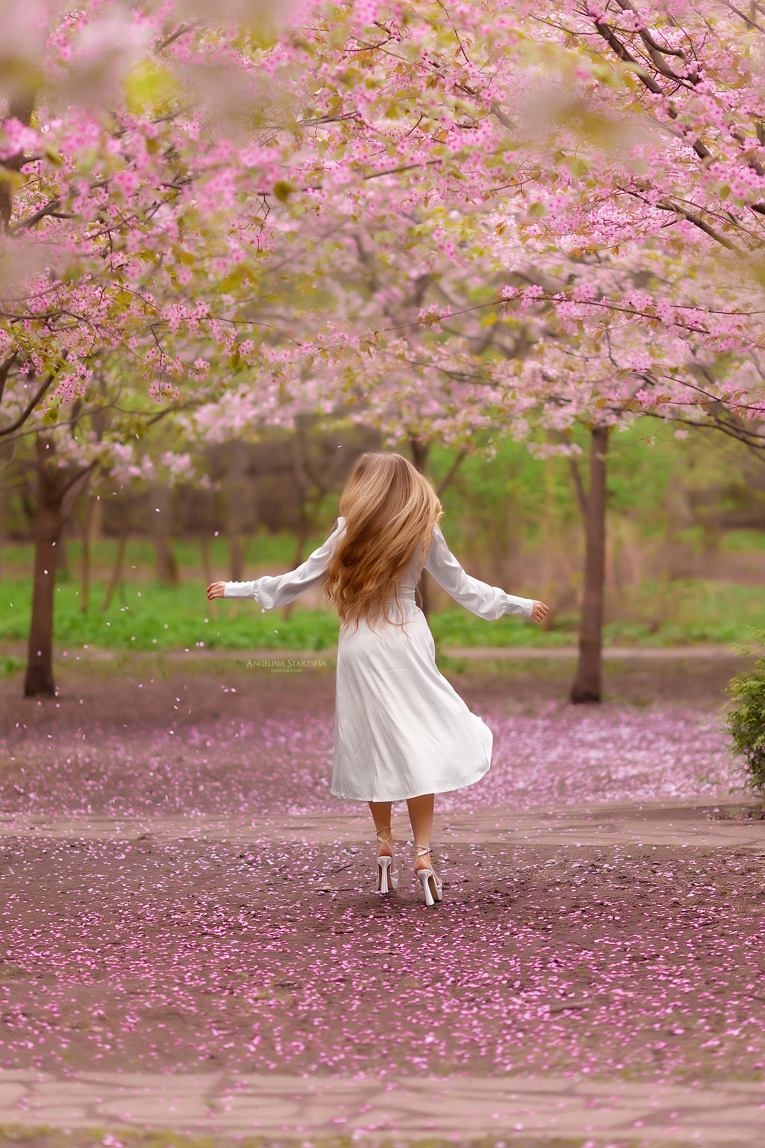 девушка в цветении сзади