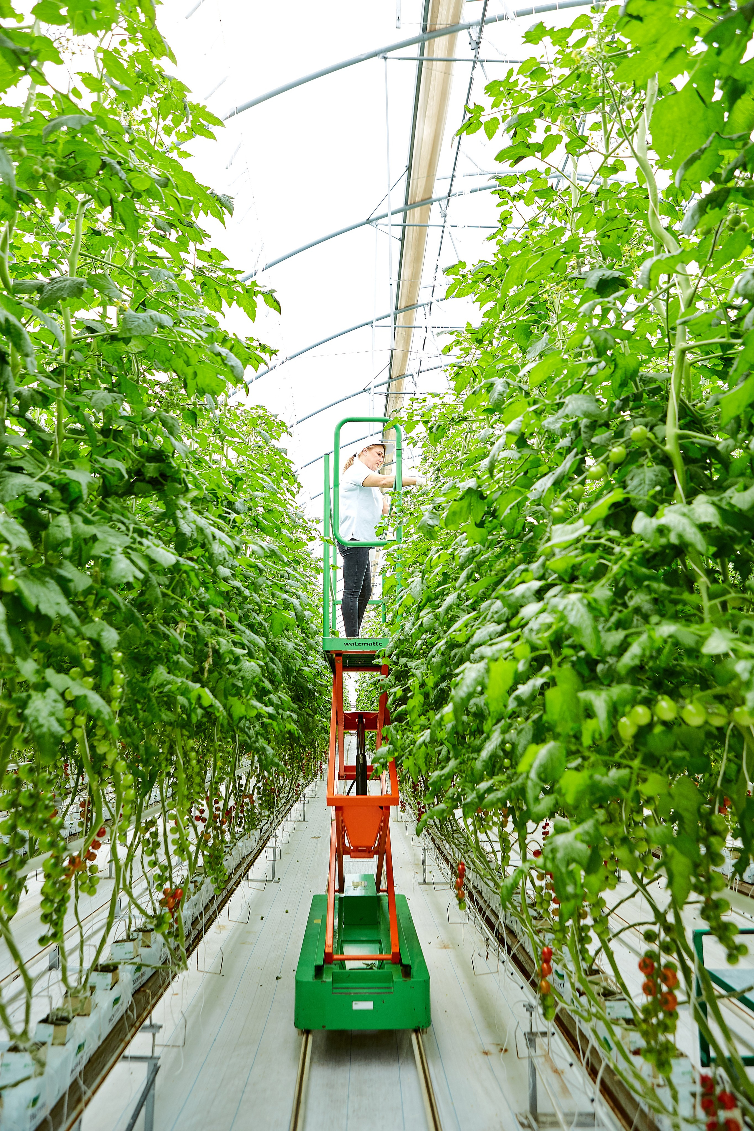 Эко-Культура