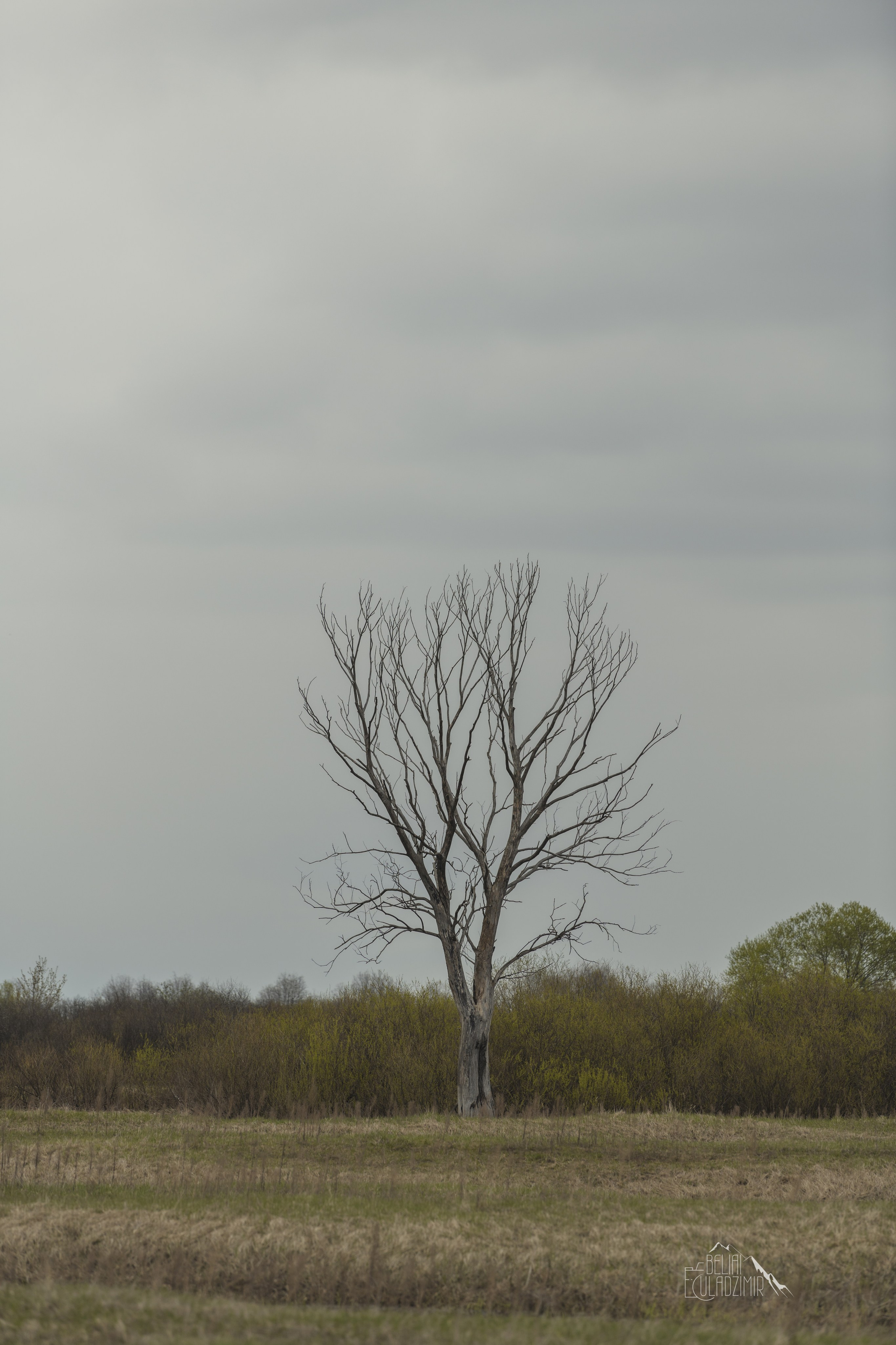 Сплав по реке Тремля 11 апреля 2026 года. Репортажный фотограф Владимир Беляй