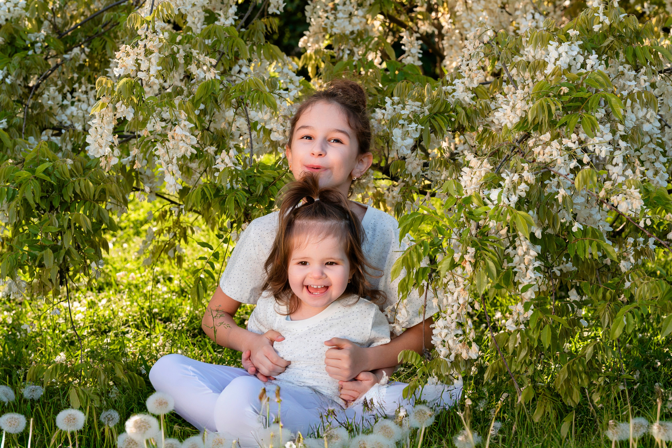 девочки,глициния, фотошоп, искусственный интелект, Дендрарий, Сочи, локация