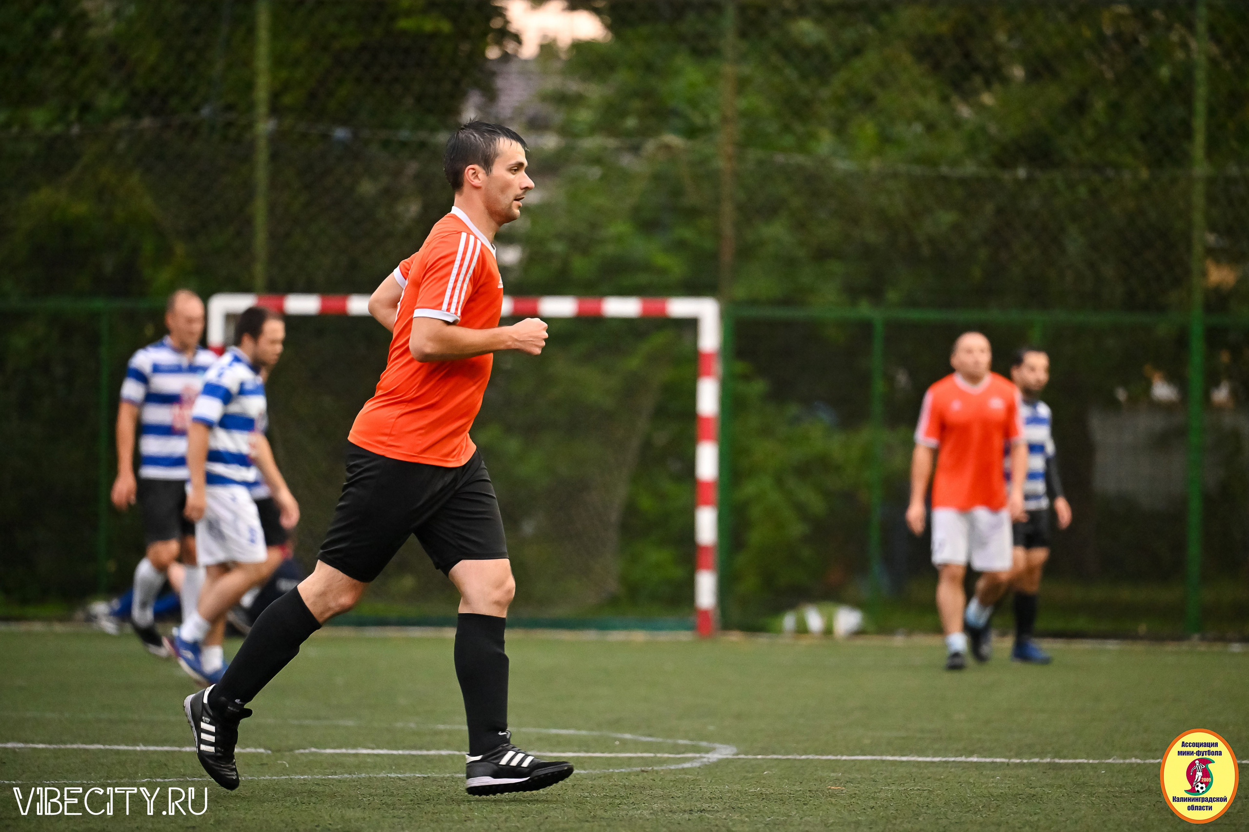 ИГРЫ МИНИ-ФУТБОЛЬНОЙ И КОРПОРАТИВНОЙ ЛИГИ. VIBECITY.RU Вайб Сити Ру Фоторепортажи Фотоотчеты Калининград