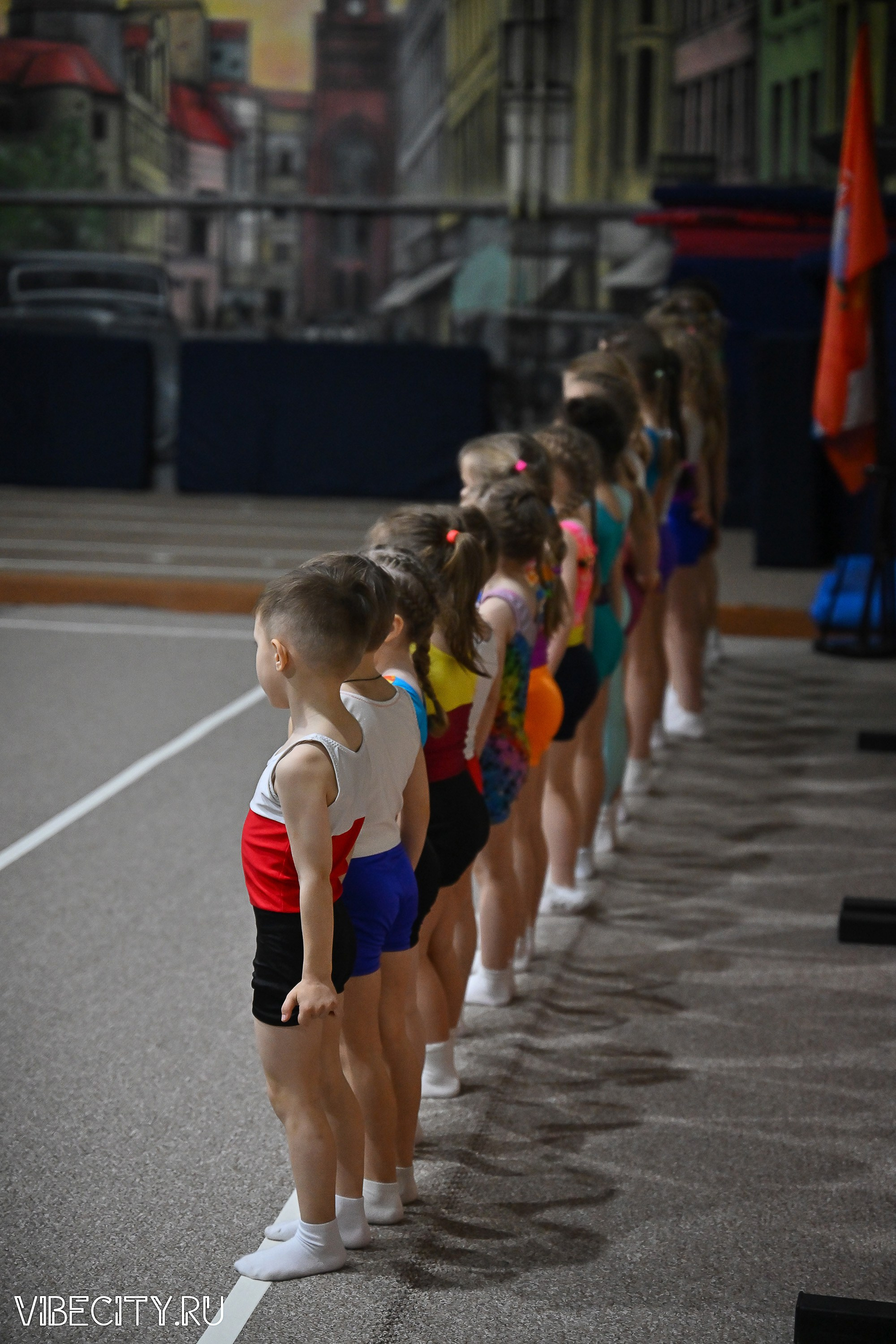 Контрольная тренировка по спортивной гимнастике. VIBECITY.RU Вайб Сити Ру Фоторепортажи Фотоотчеты Калининград