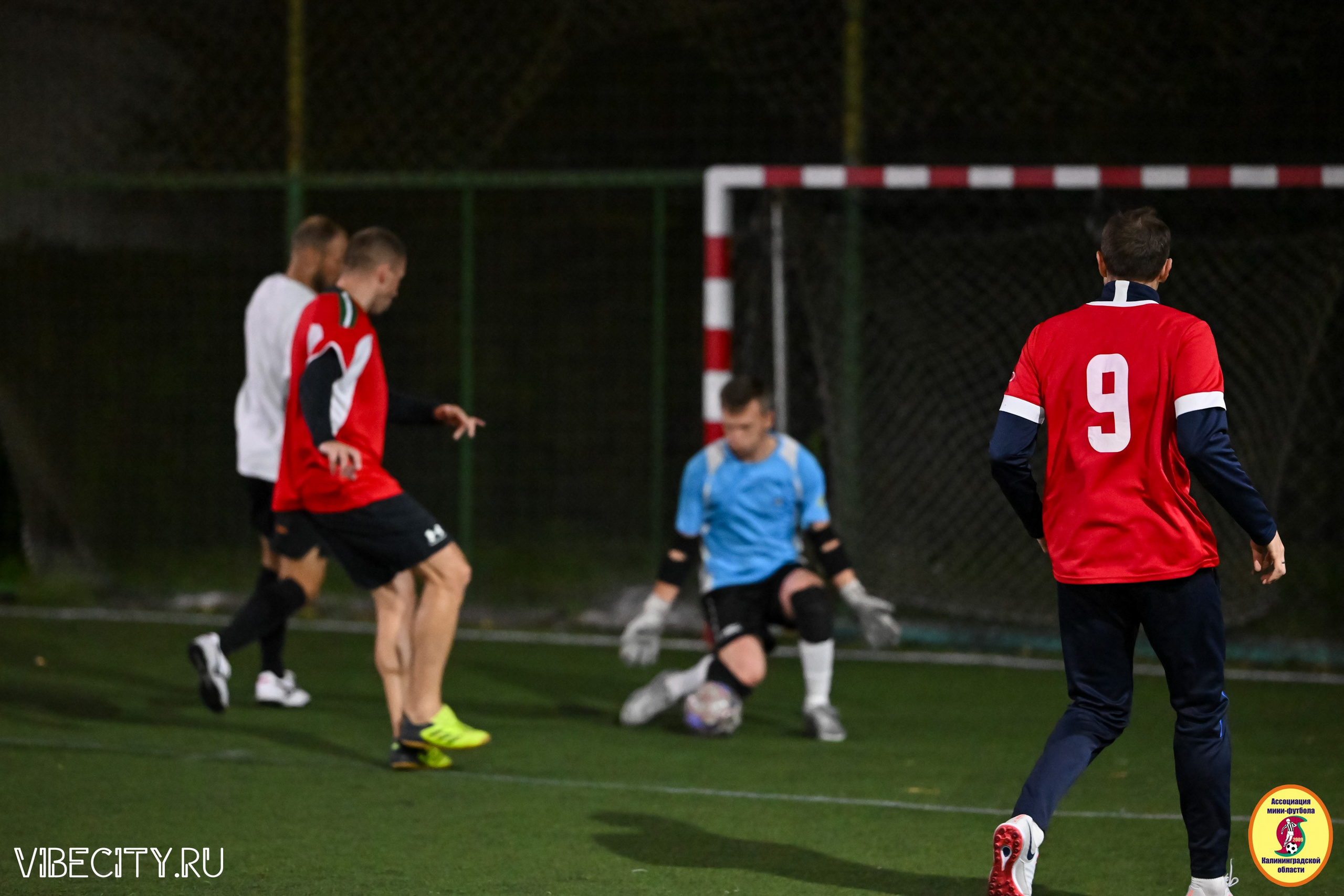 КУБОК ДРУЖБЫ. VIBECITY.RU Вайб Сити Ру Фоторепортажи Фотоотчеты Калининград