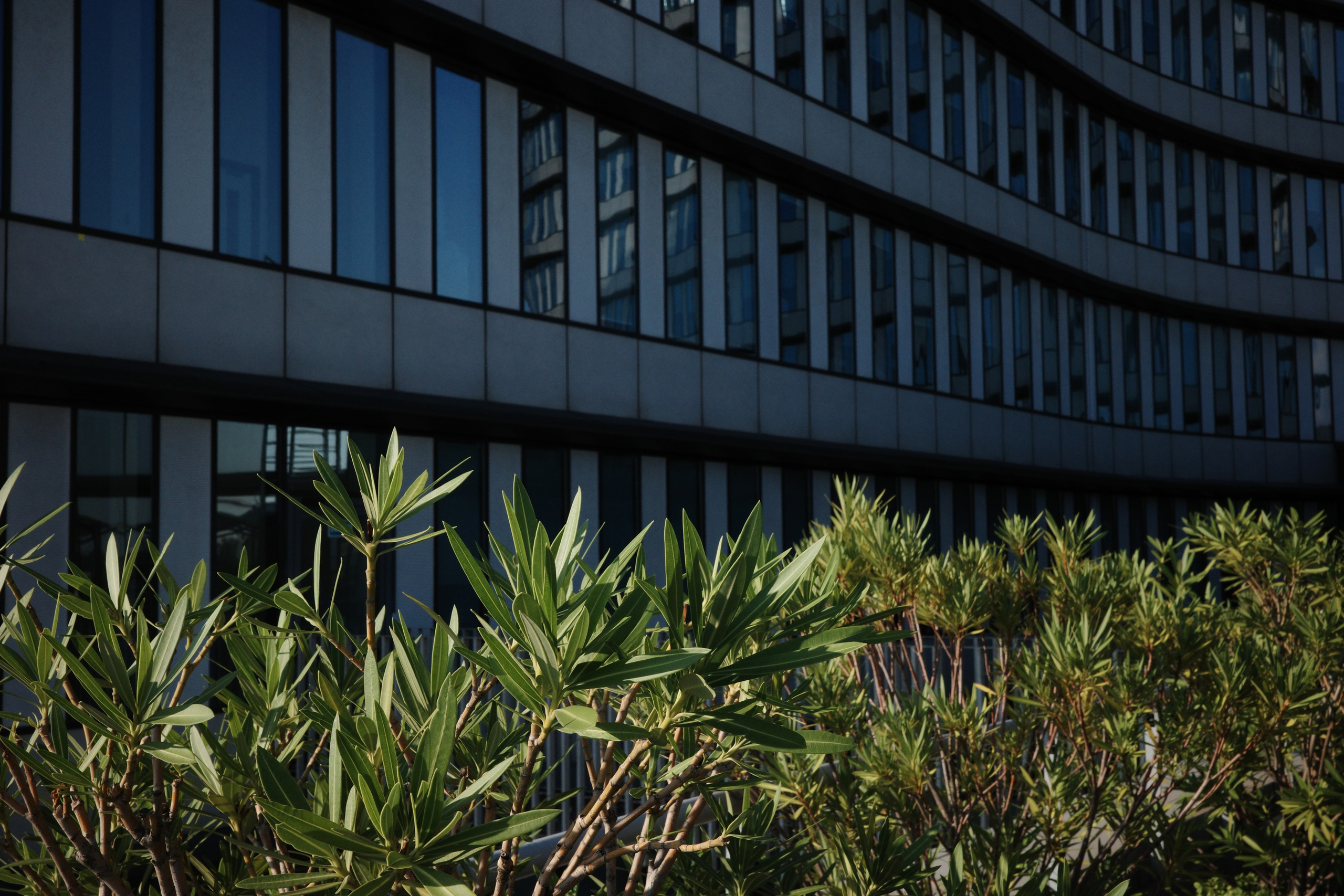 Растительность