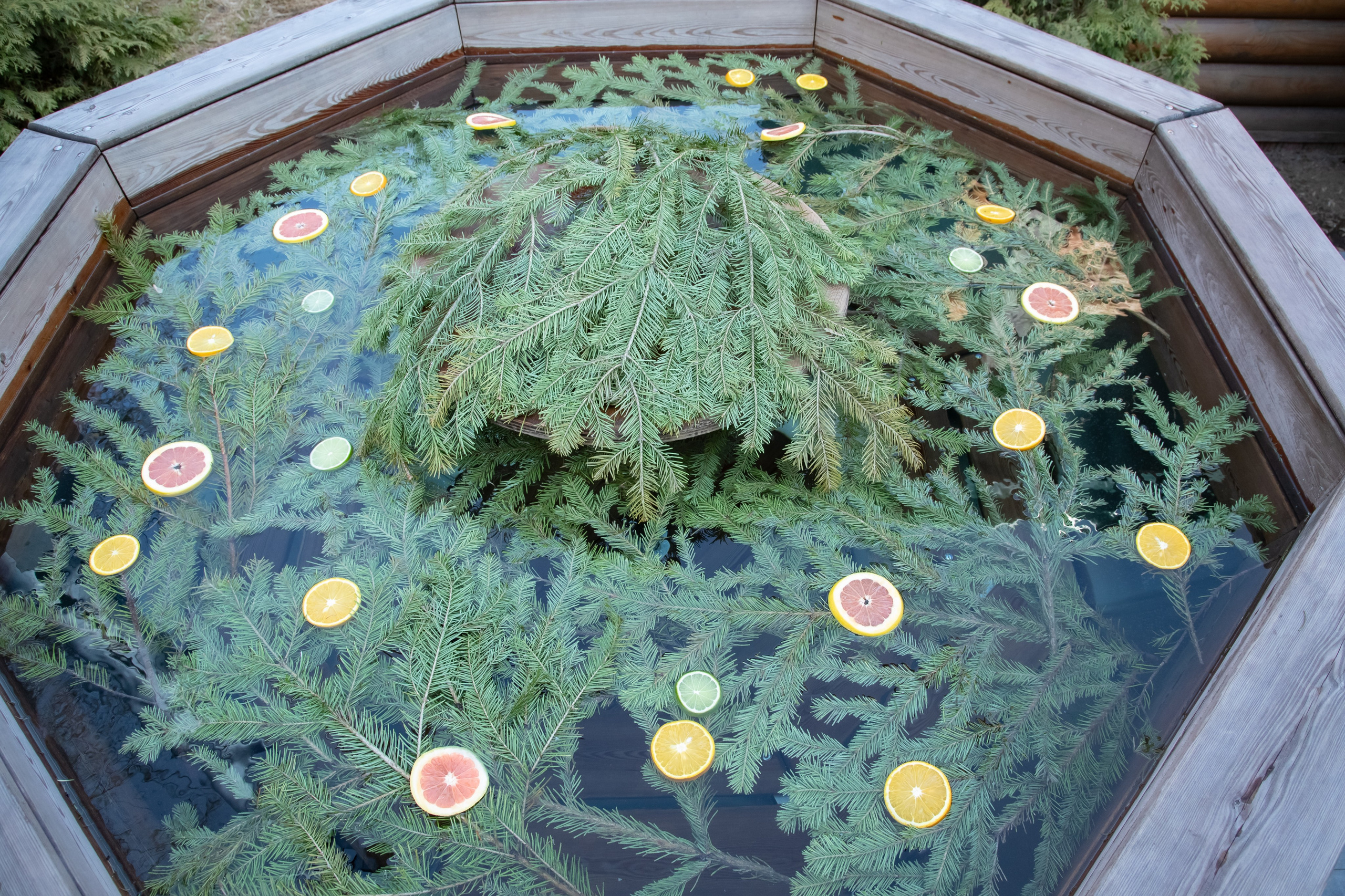 Дом «Сибирь». Банный комплекс «С легким паром»