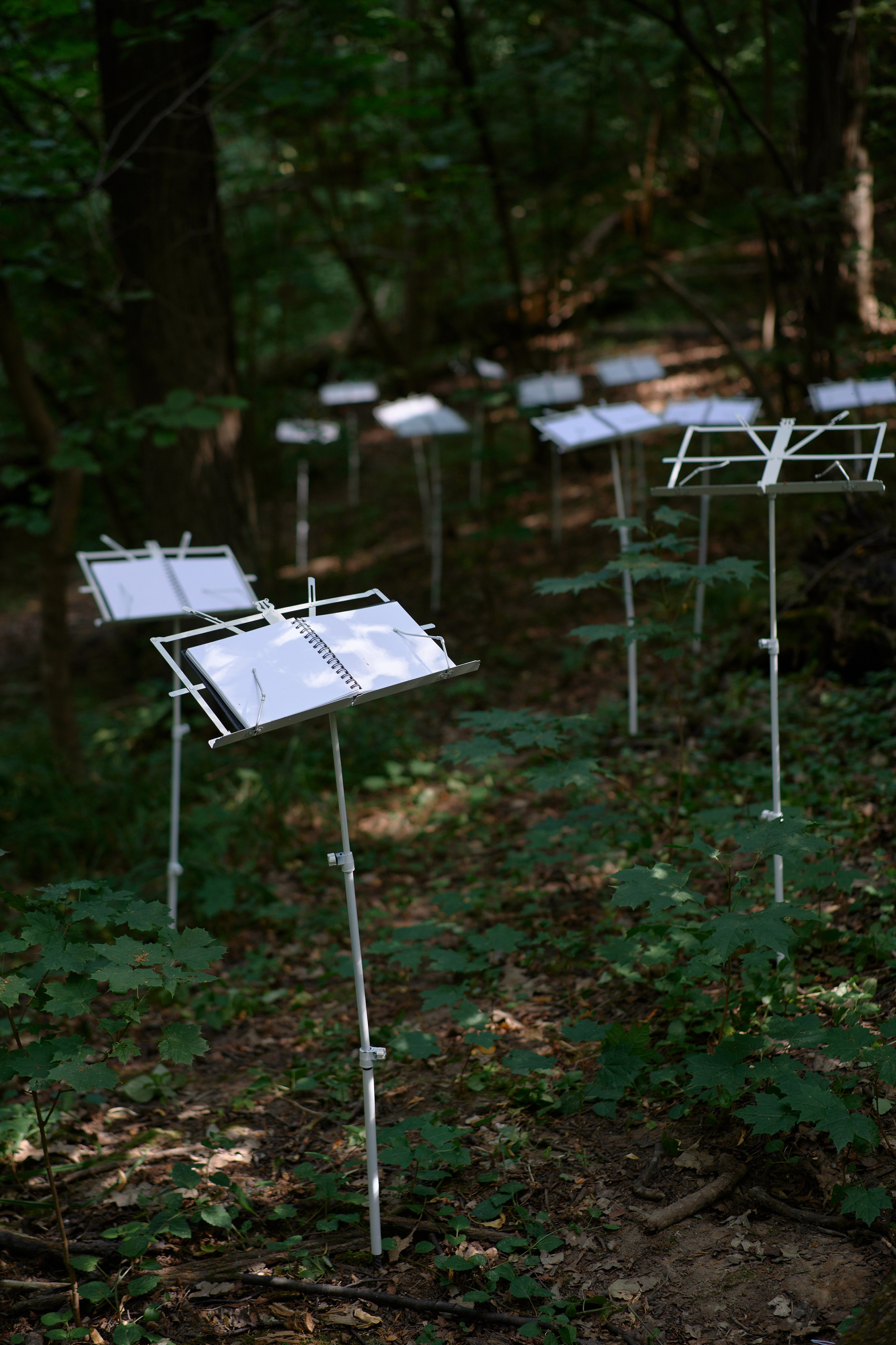 Паблик-арт. Современная художница Елена Алексеева (Alpha_Vita)