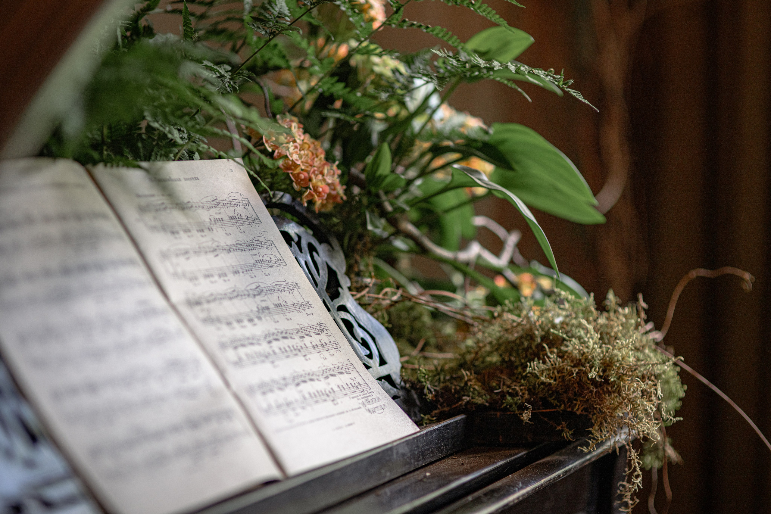 Фотостудия Зачарованный сад в Екатеринбурге