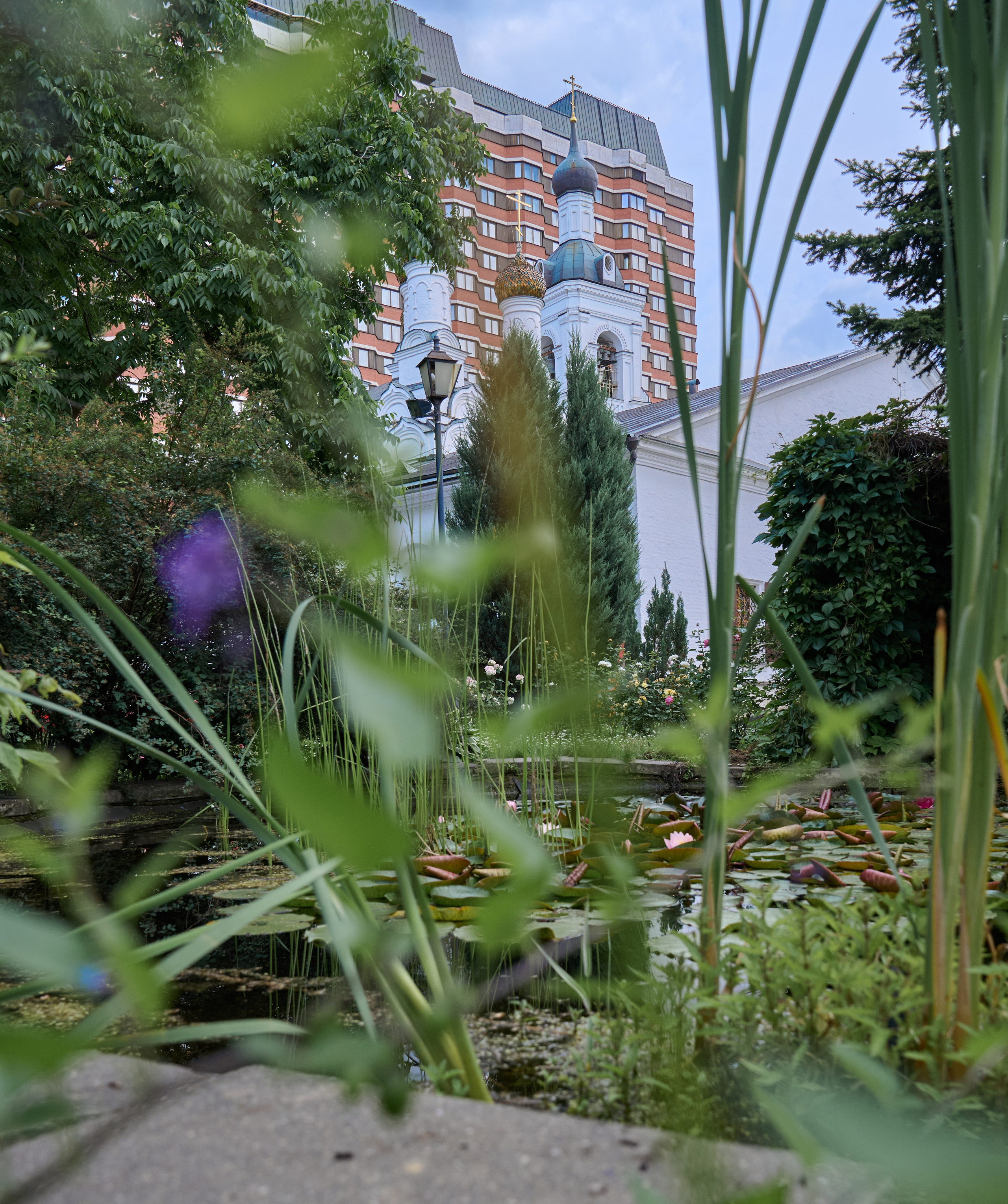 Накануне праздника китайских мучеников. Фотограф в Москве