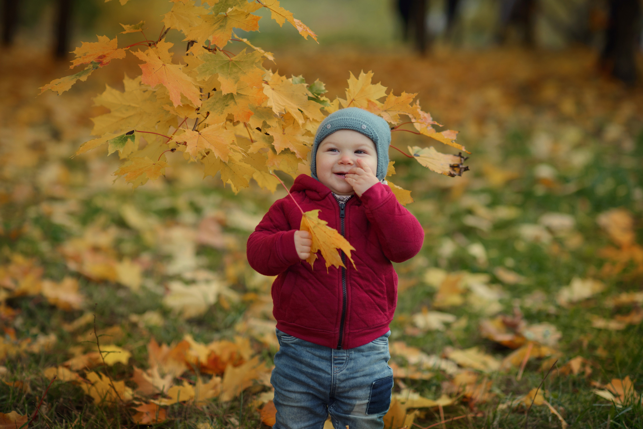 Photo shoot of a little child in autumn. Photos with yellow leaves