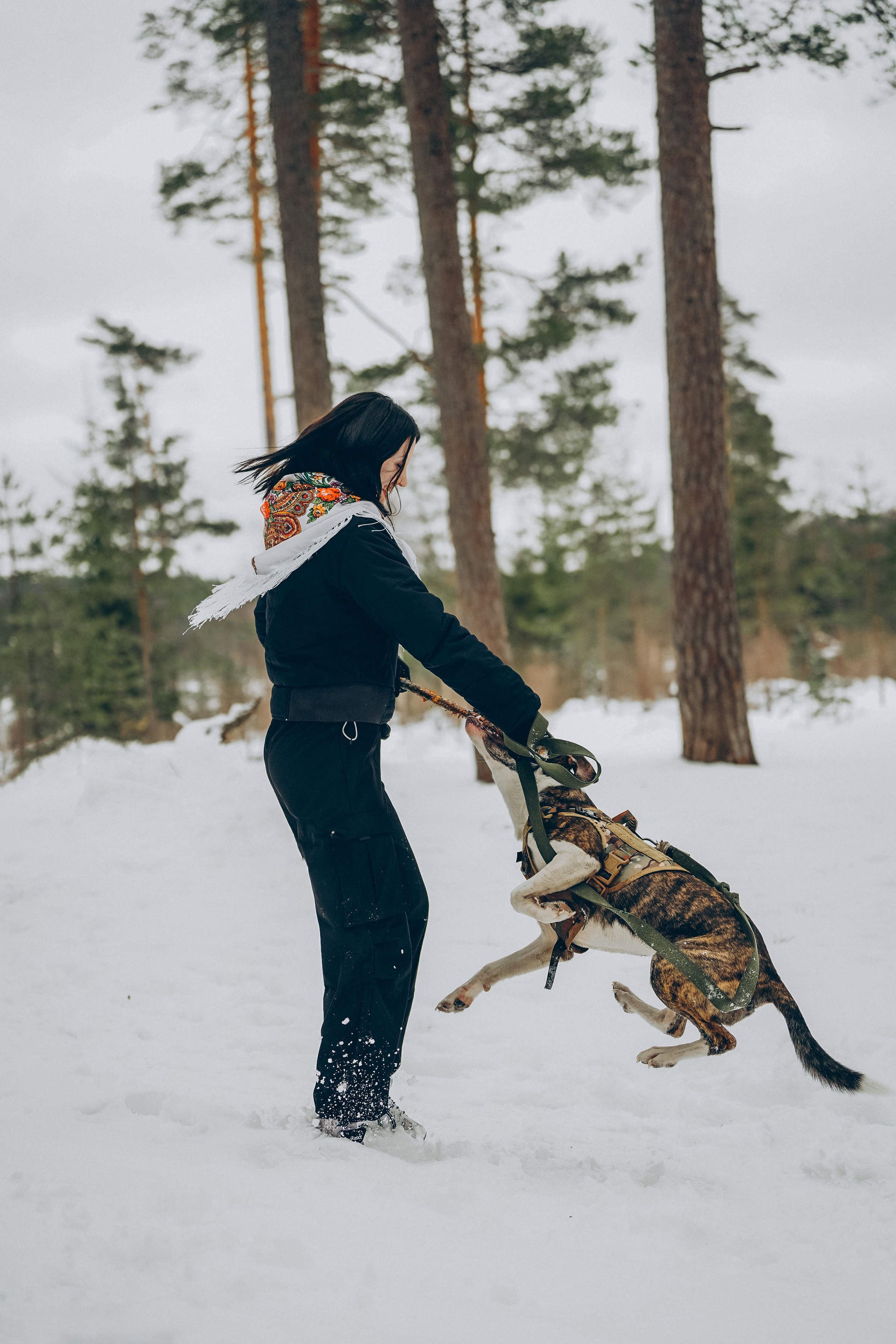 Гарм и Юна. Фотограф анималист в Спб недорого Олеся Майорова