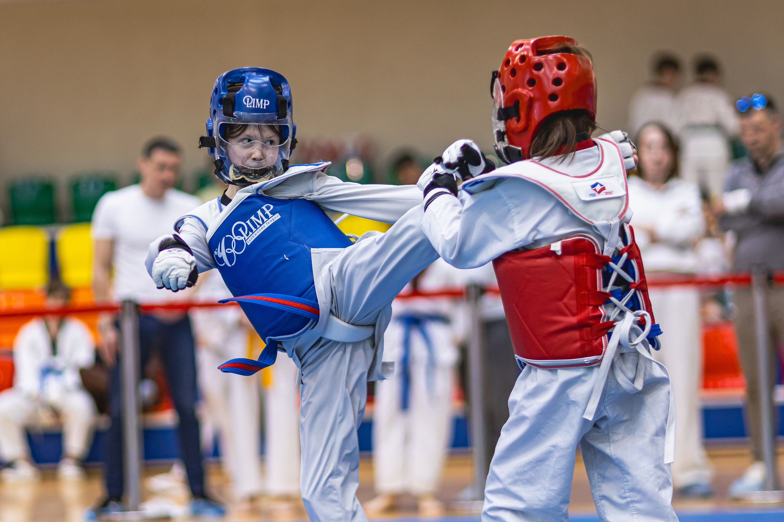 Турнир ВДЮФСОО «ФЕДЕРАЦИЯ ДЕТСКОГО ТХЭКВОНДО РОССИИ» и МОО СПКЕ «ЭРИДАН» по «СПОРТИВНОМУ БОЮ КЕРУГИ». Спортивный фотограф Максим Серегин