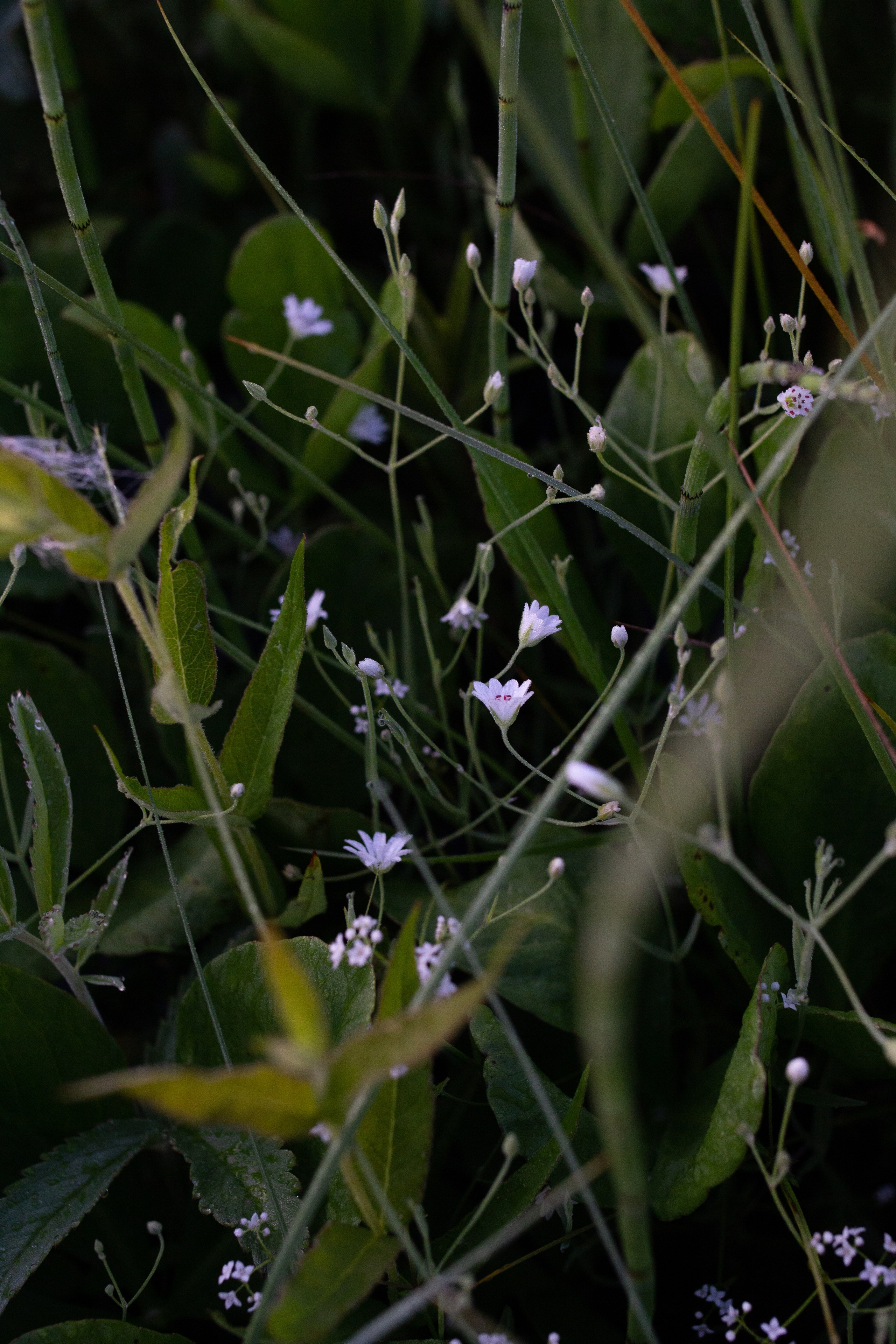 Раковые озера. Ksenzova Veronika photographer