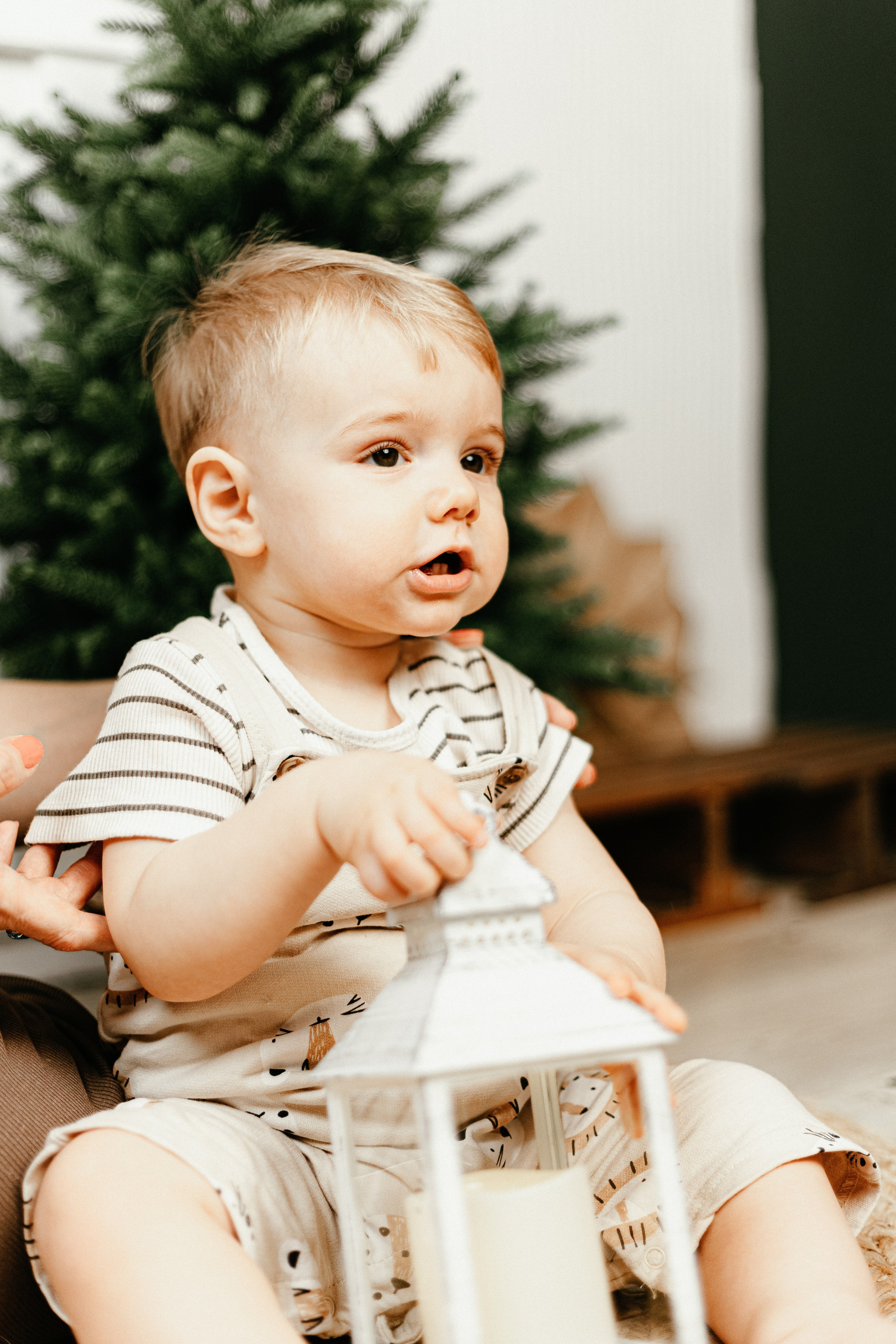 Новогодние. Арт-фотограф Крис Л. в Тобольске: портрет, семейные, свадьбы