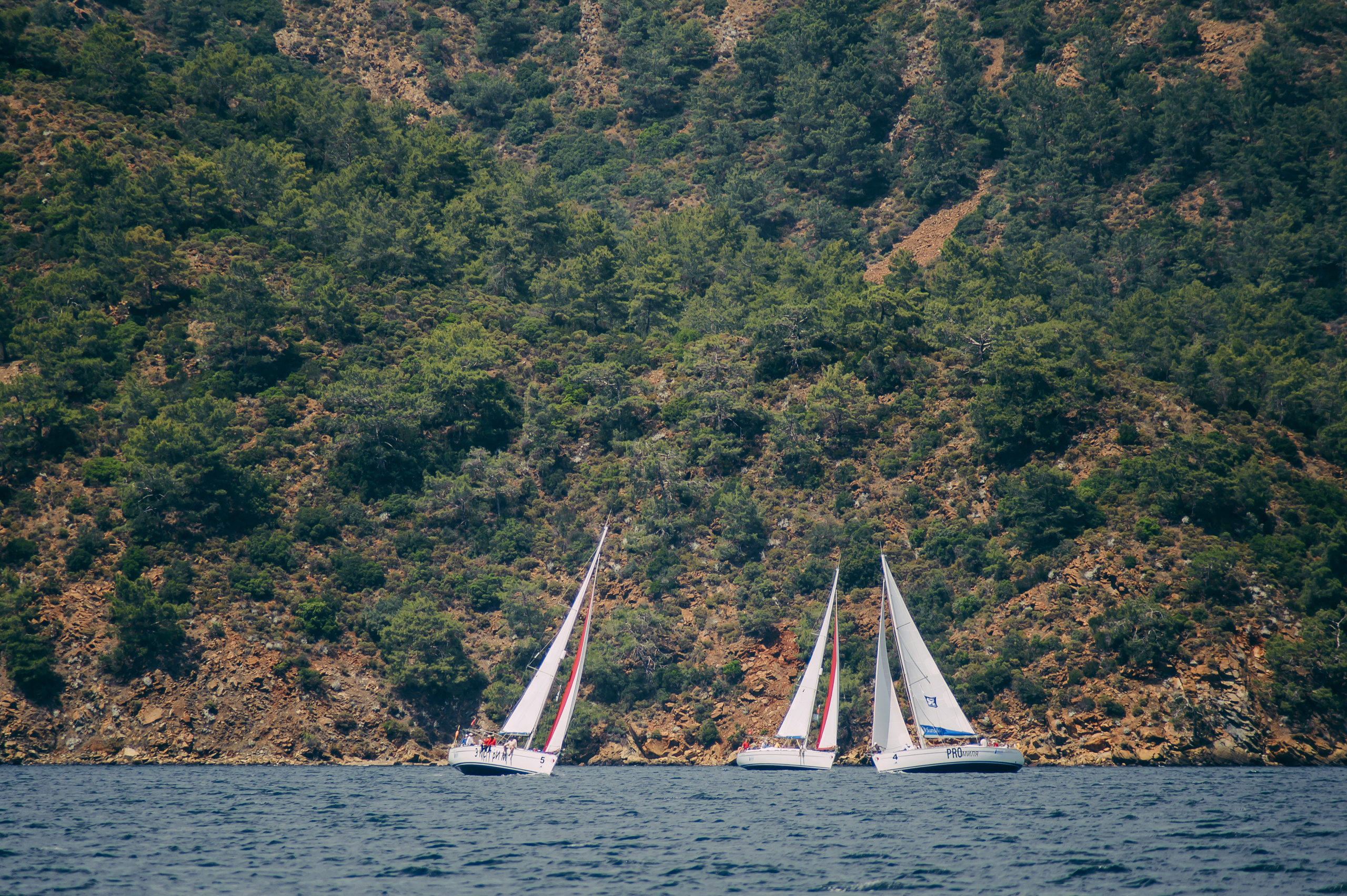 Sailing Race Retail Cup. Photographer Natalia Baranova