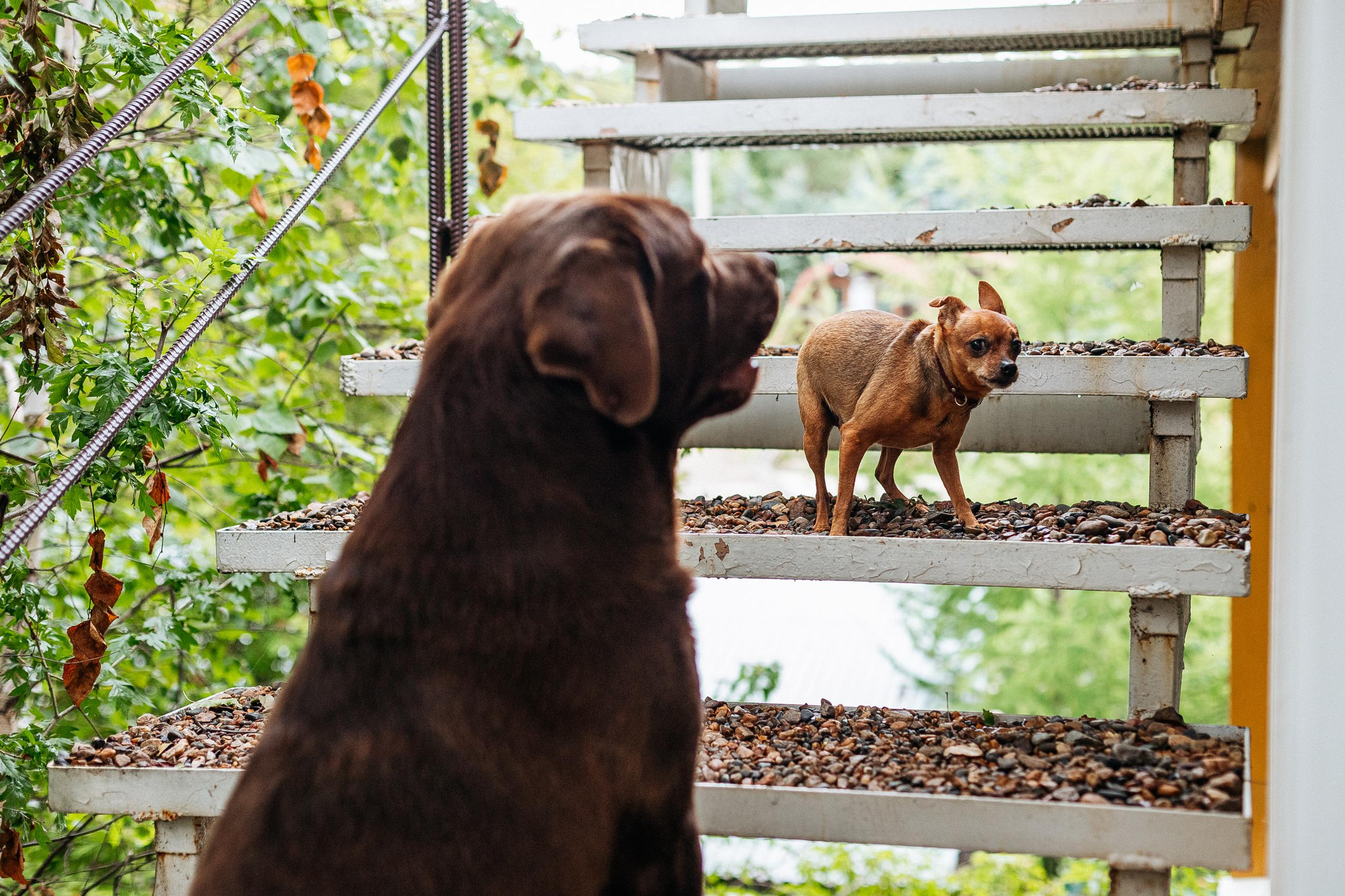 АМУР РЕЗОРТ. СВОИ. ФОТООТЧЕТЫ-СОБЫТИЯ-МЕСТА