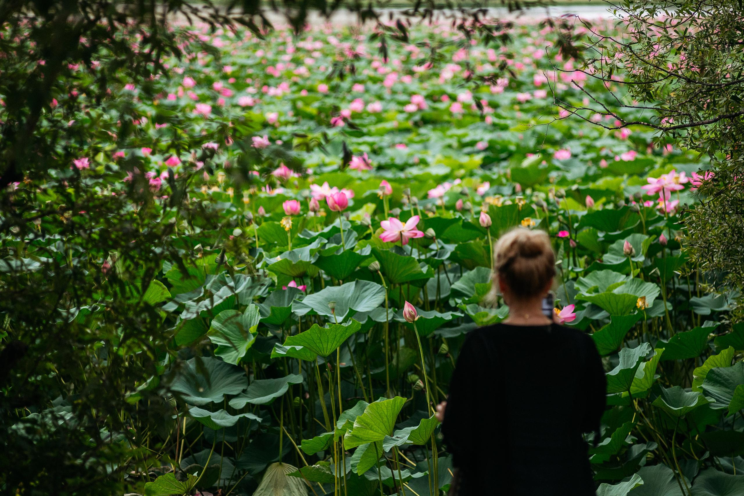 АМУР РЕЗОРТ. СВОИ. ФОТООТЧЕТЫ-СОБЫТИЯ-МЕСТА