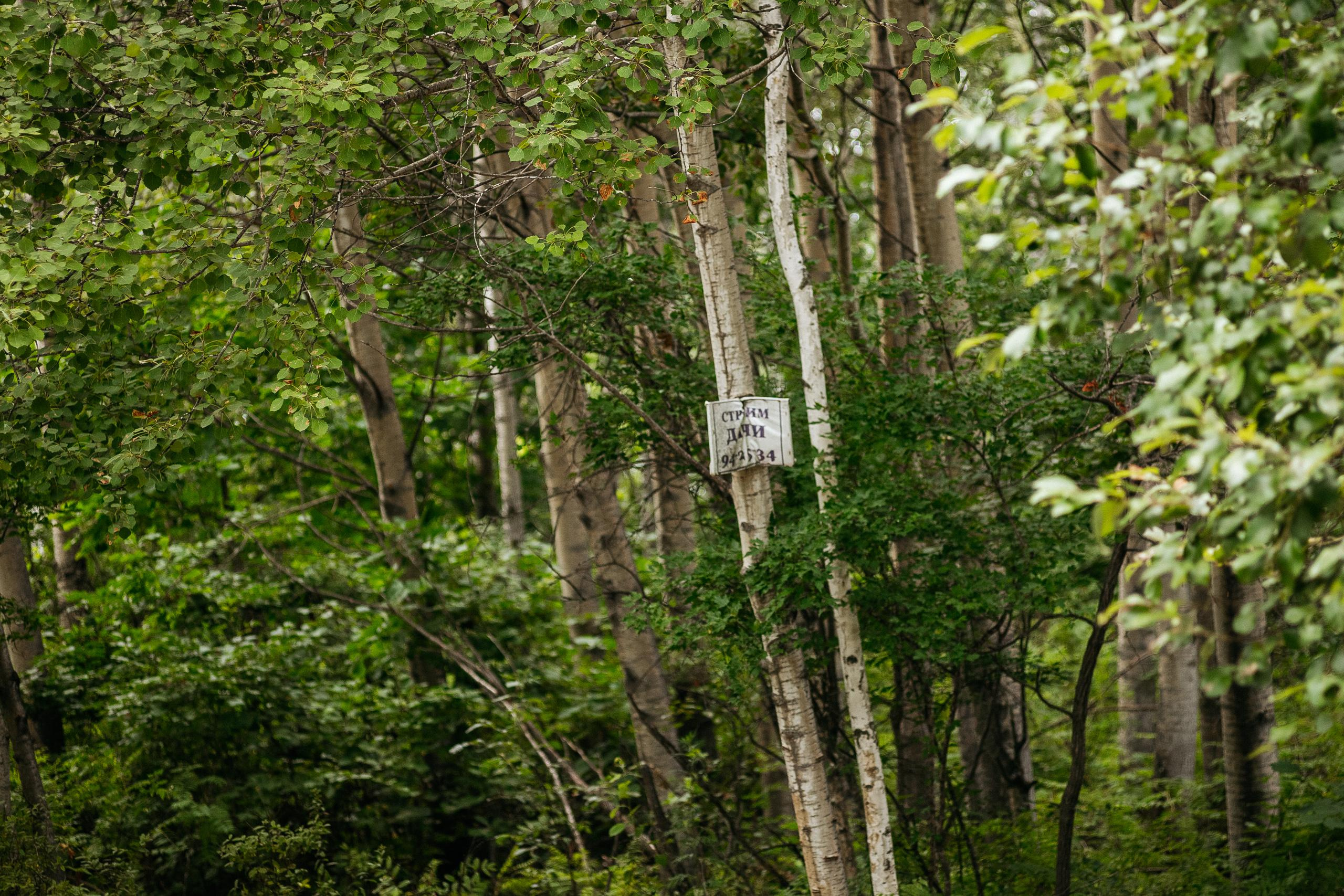 АМУР РЕЗОРТ. СВОИ. ФОТООТЧЕТЫ-СОБЫТИЯ-МЕСТА