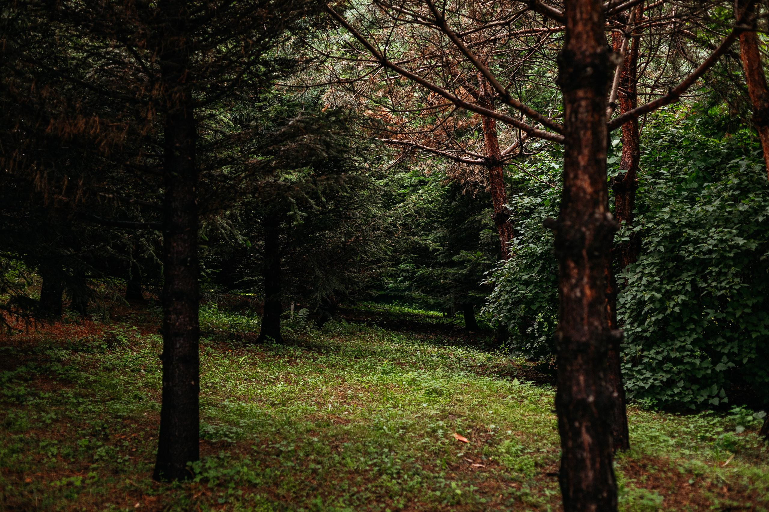 АМУР РЕЗОРТ. СВОИ. ФОТООТЧЕТЫ-СОБЫТИЯ-МЕСТА