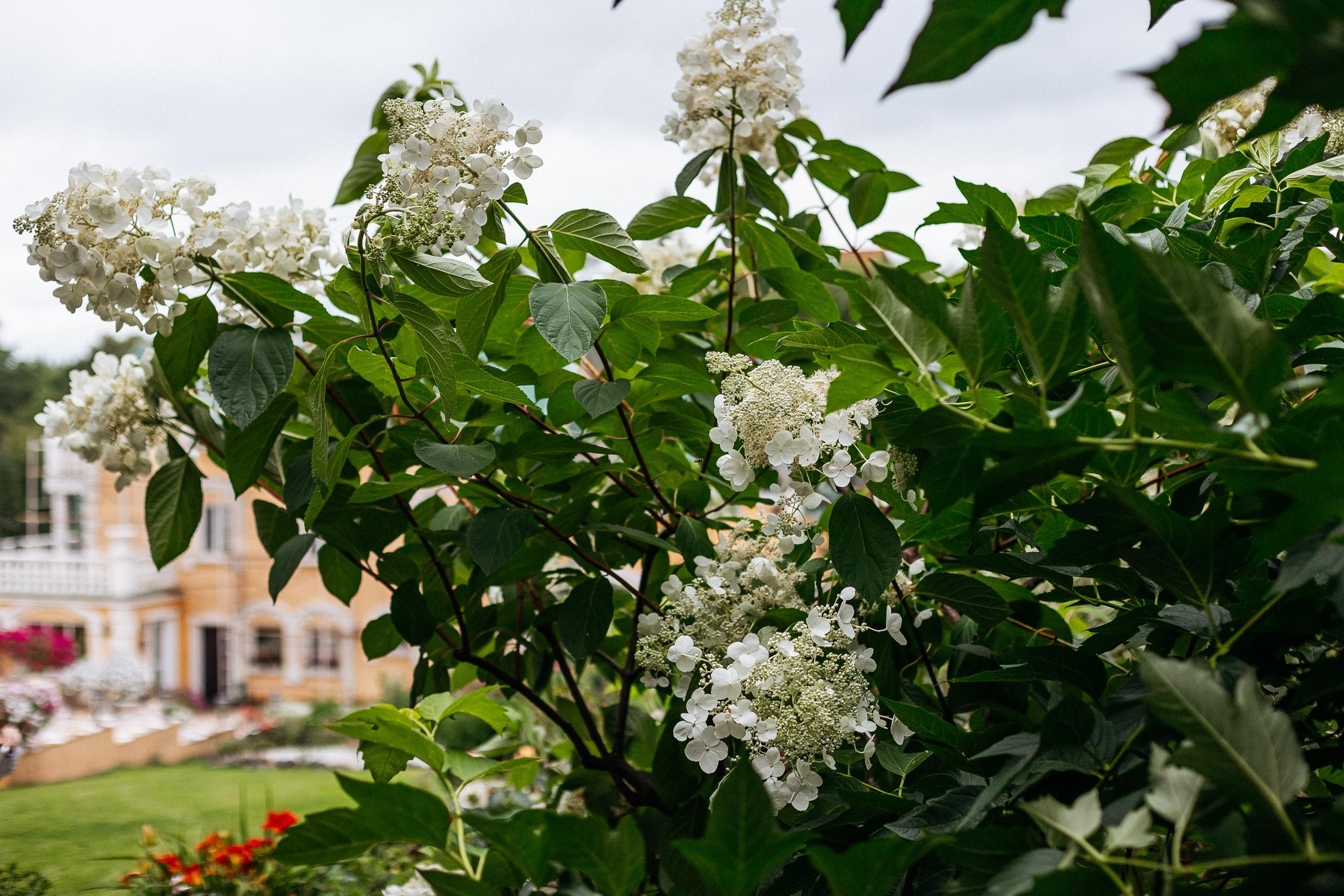 АМУР РЕЗОРТ. СВОИ. ФОТООТЧЕТЫ-СОБЫТИЯ-МЕСТА