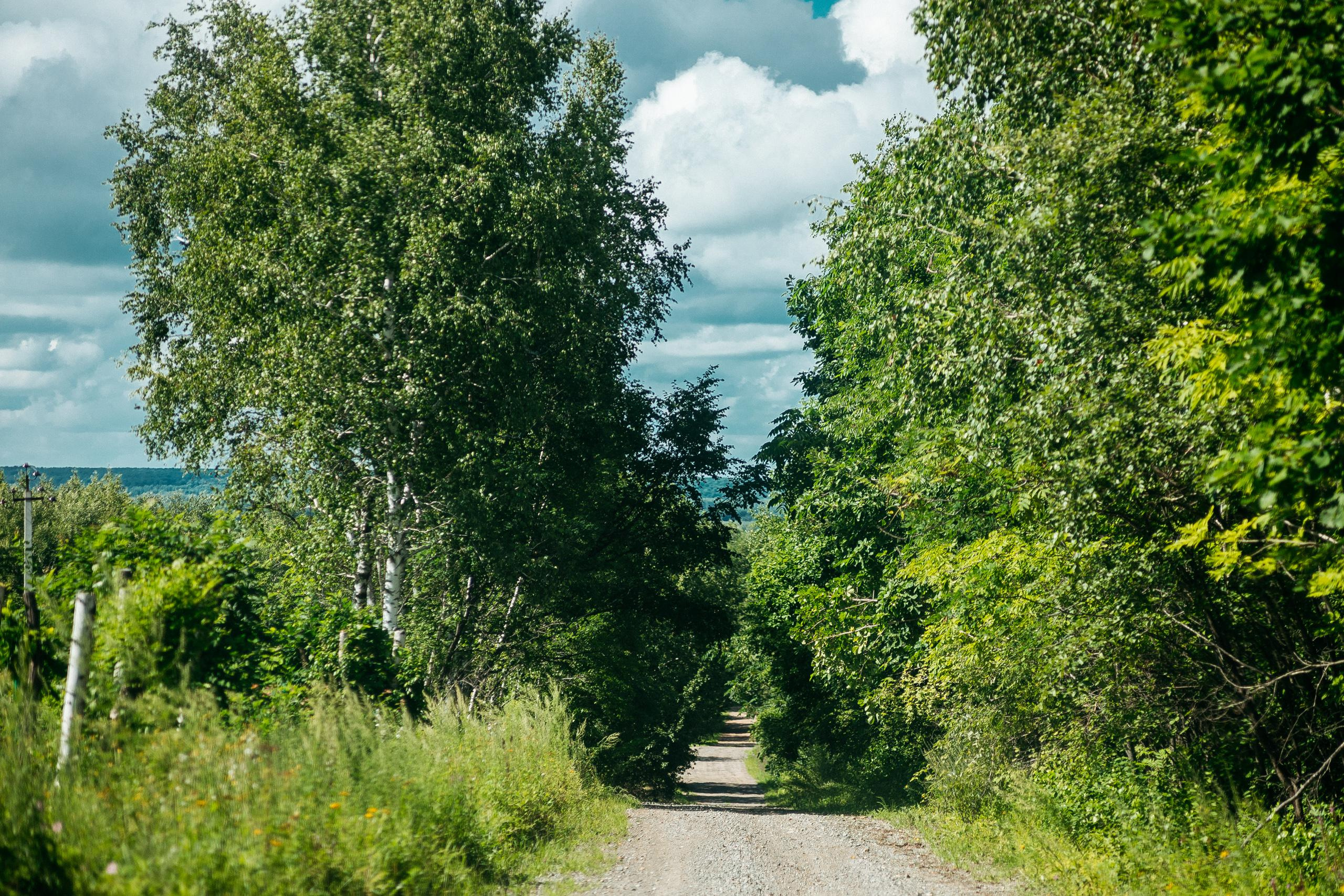 АМУР РЕЗОРТ. СВОИ. ФОТООТЧЕТЫ-СОБЫТИЯ-МЕСТА
