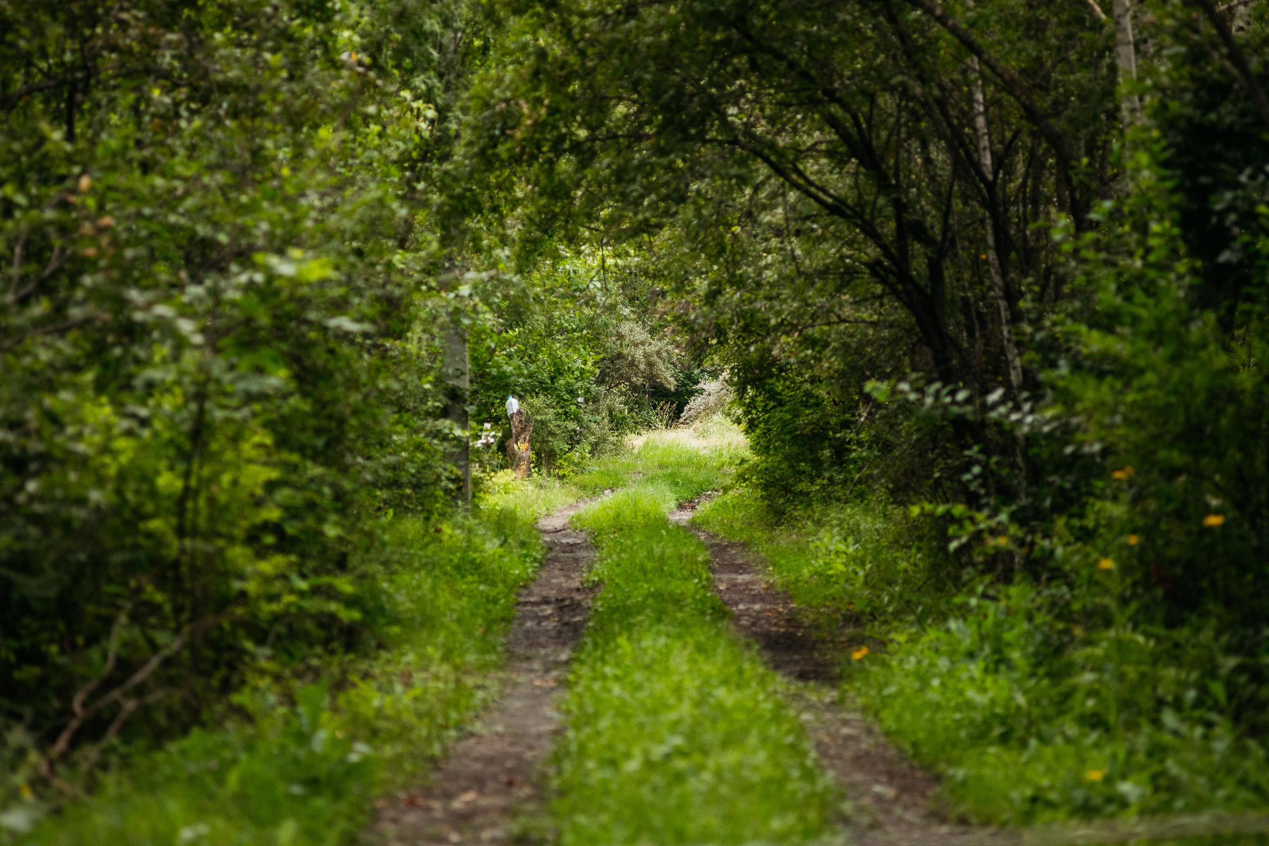 АМУР РЕЗОРТ. СВОИ. ФОТООТЧЕТЫ-СОБЫТИЯ-МЕСТА