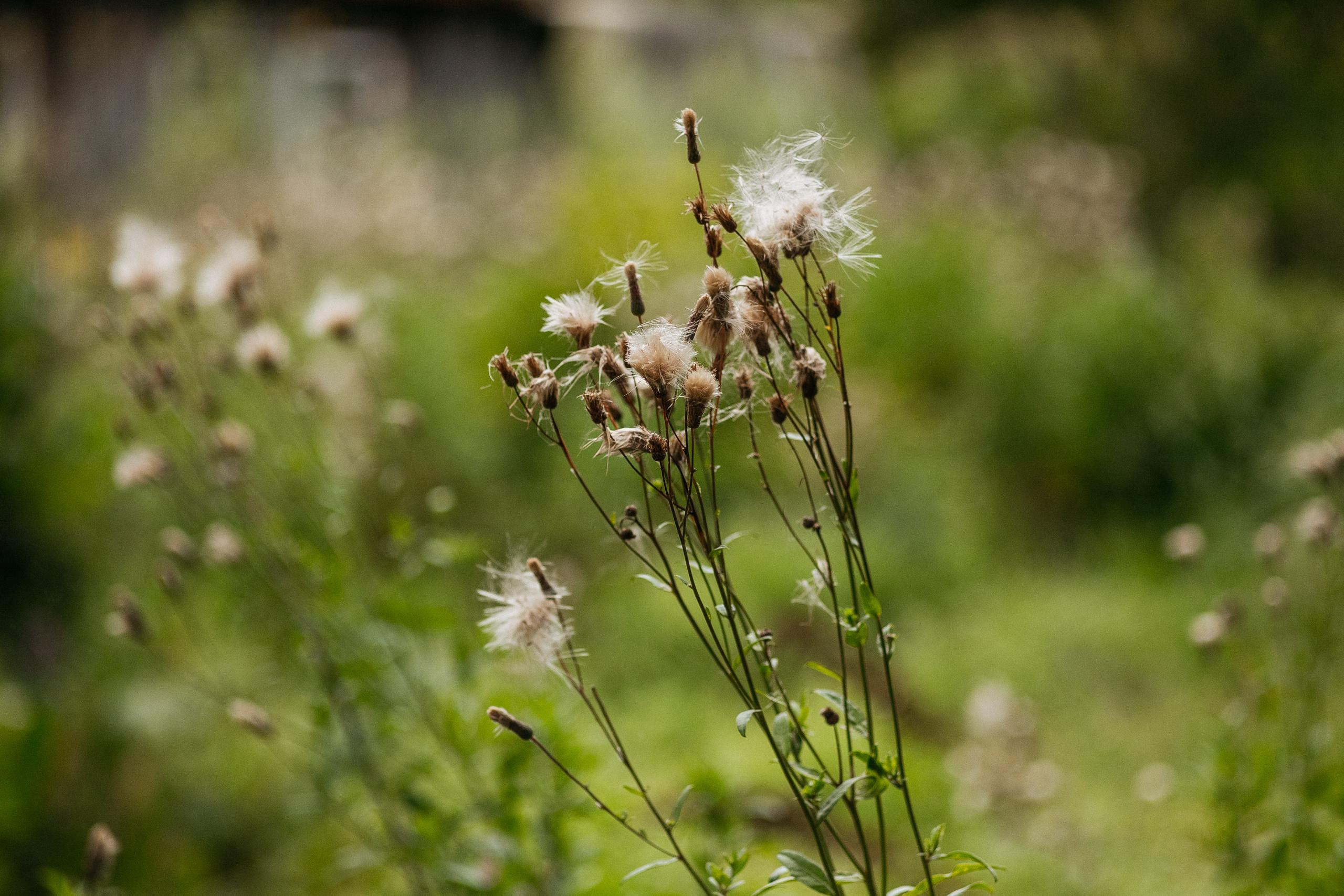 АМУР РЕЗОРТ. СВОИ. ФОТООТЧЕТЫ-СОБЫТИЯ-МЕСТА
