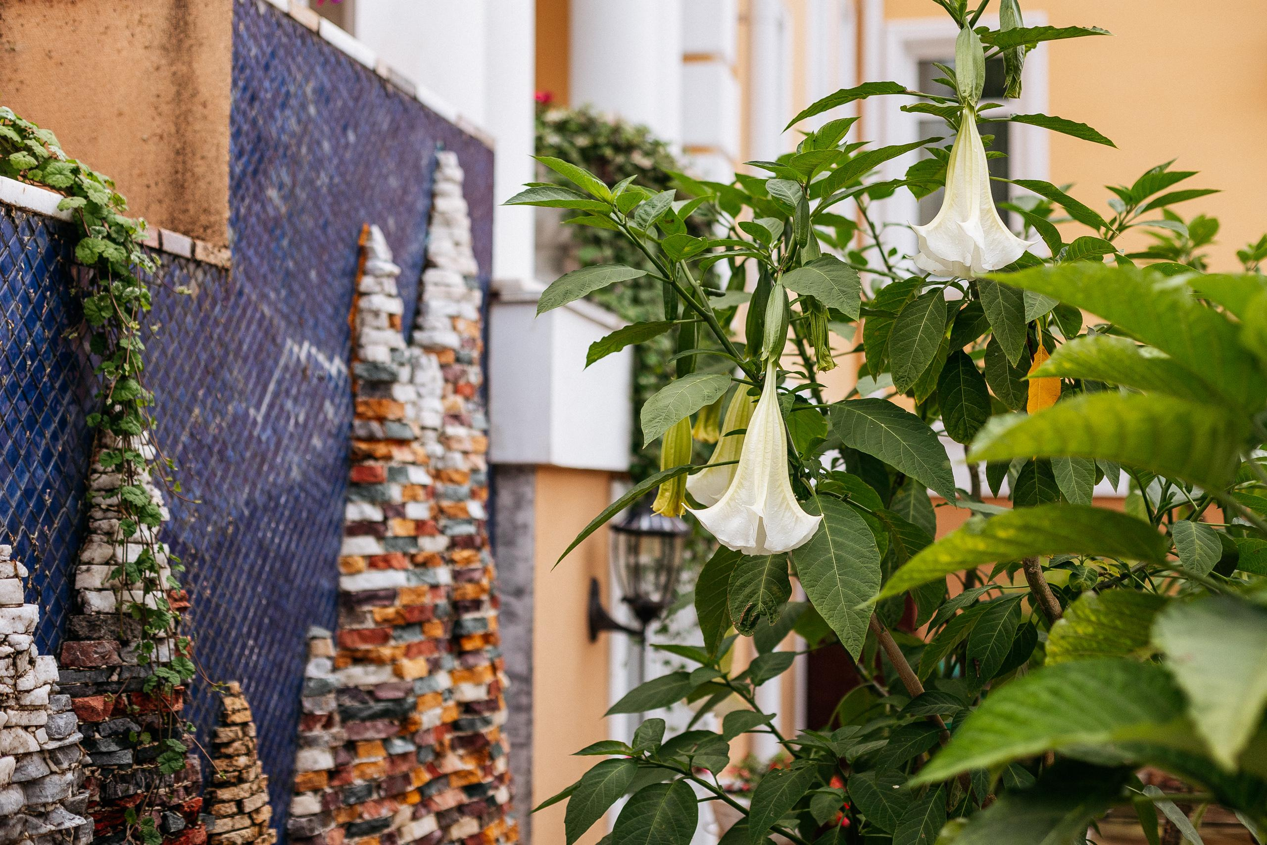 АМУР РЕЗОРТ. СВОИ. ФОТООТЧЕТЫ-СОБЫТИЯ-МЕСТА