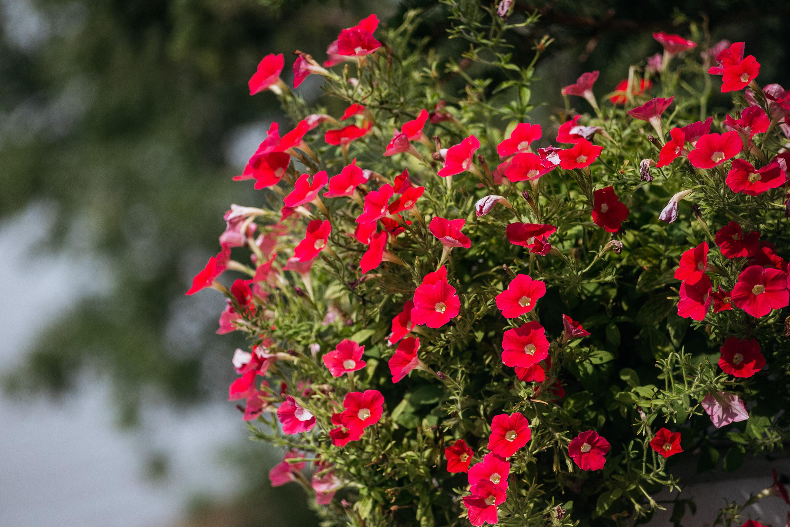 АМУР РЕЗОРТ. СВОИ. ФОТООТЧЕТЫ-СОБЫТИЯ-МЕСТА