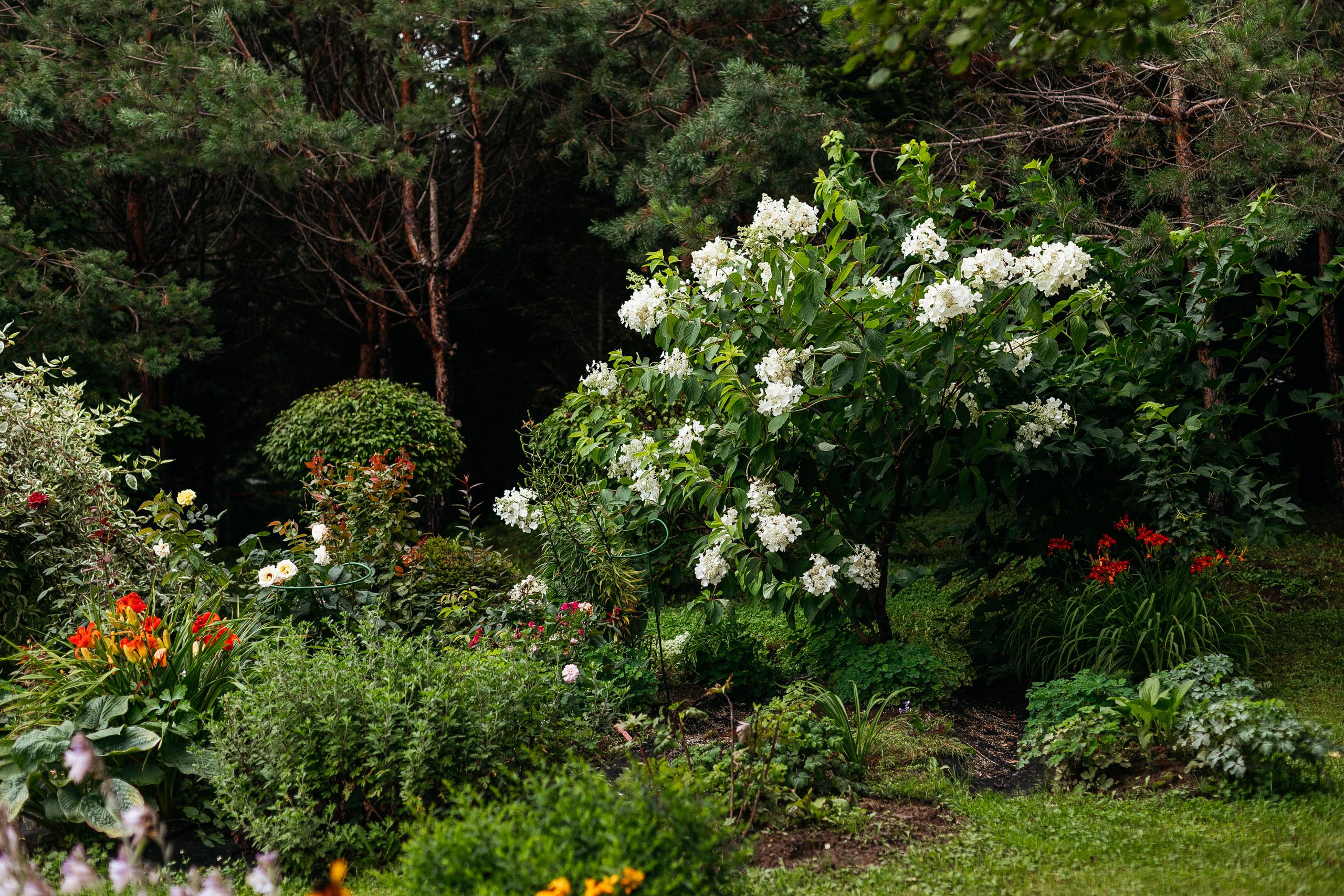 АМУР РЕЗОРТ. СВОИ. ФОТООТЧЕТЫ-СОБЫТИЯ-МЕСТА