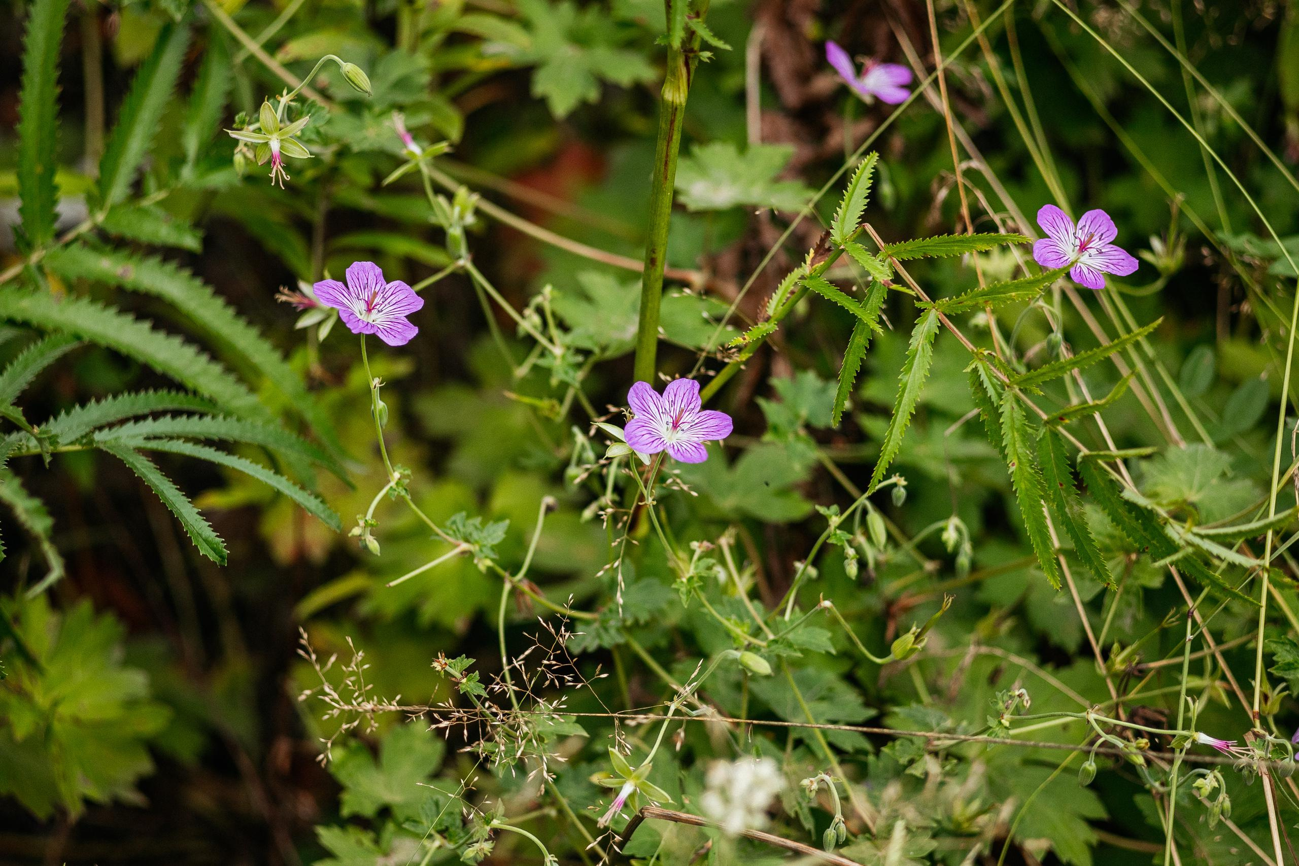 АМУР РЕЗОРТ. СВОИ. ФОТООТЧЕТЫ-СОБЫТИЯ-МЕСТА