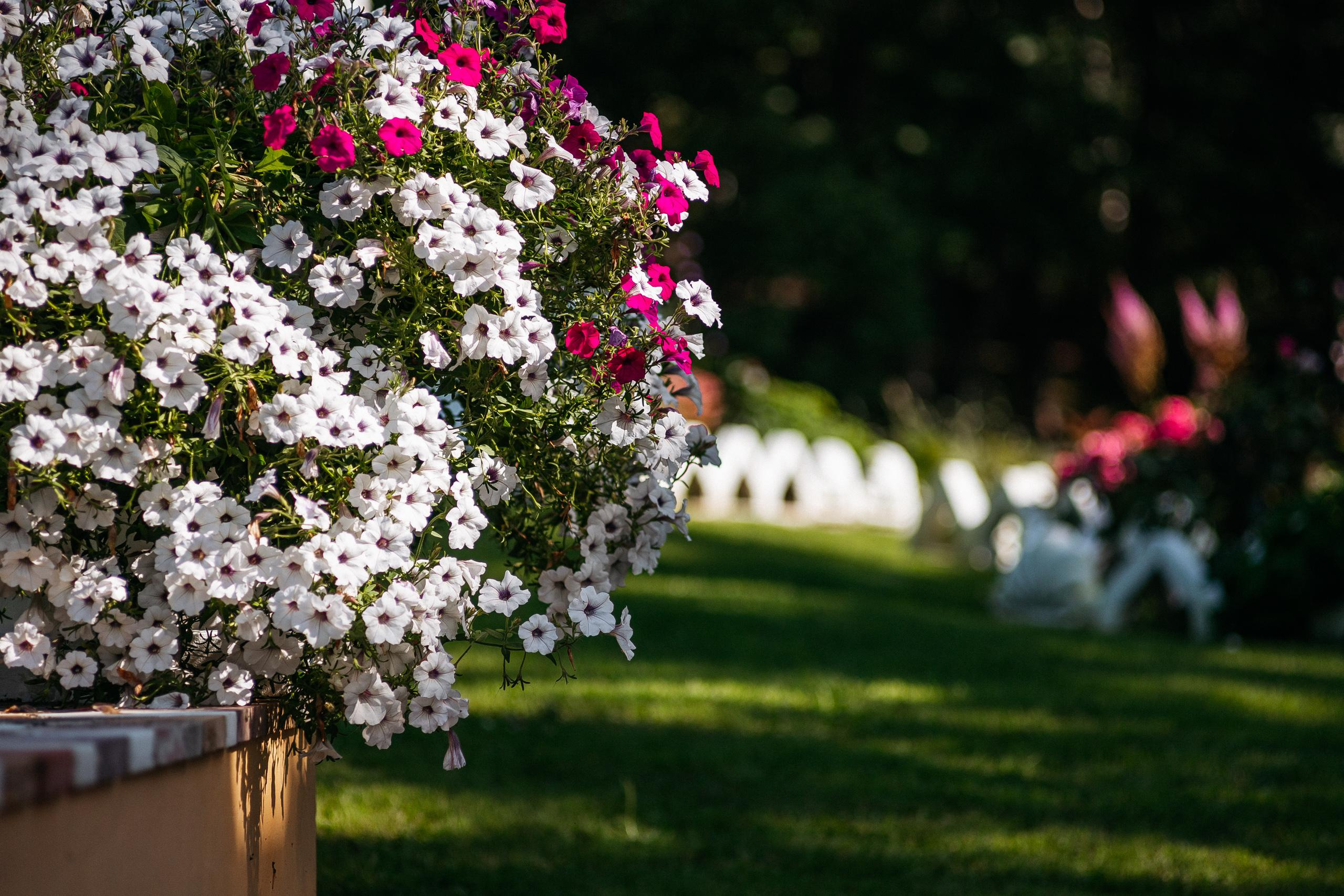 АМУР РЕЗОРТ. СВОИ. ФОТООТЧЕТЫ-СОБЫТИЯ-МЕСТА
