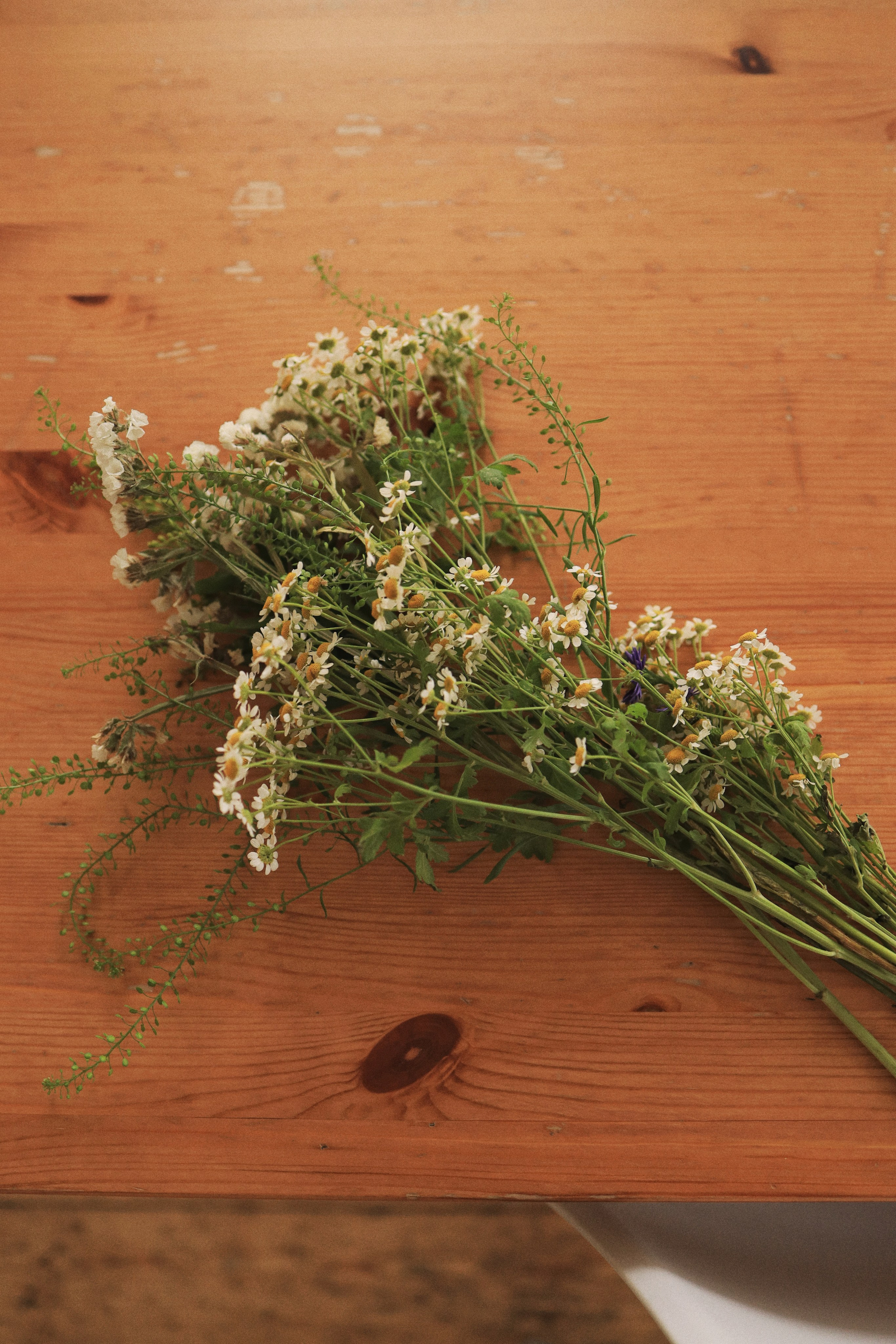 Cooking class by Cook Kruzhok | 2023. POLINA MÔMOT