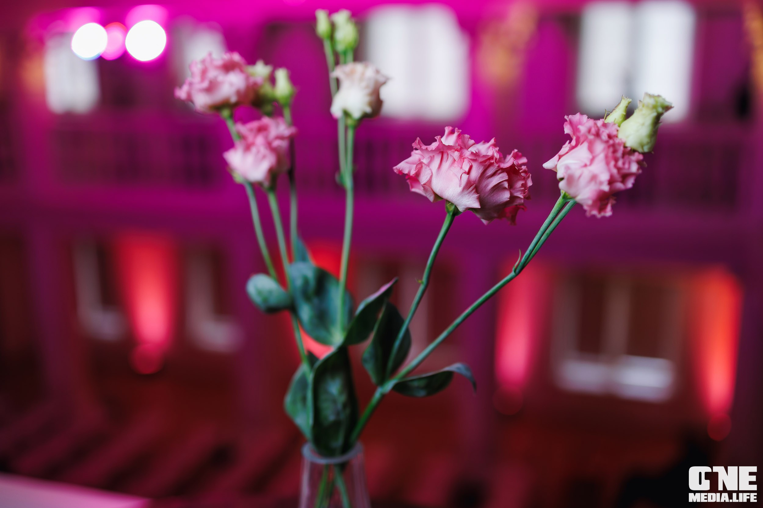 Форум Мой Бизнес — ДЕВИЧНИК. One Media Life: фоторепортажи, фотоотчеты с мероприятий и заведений