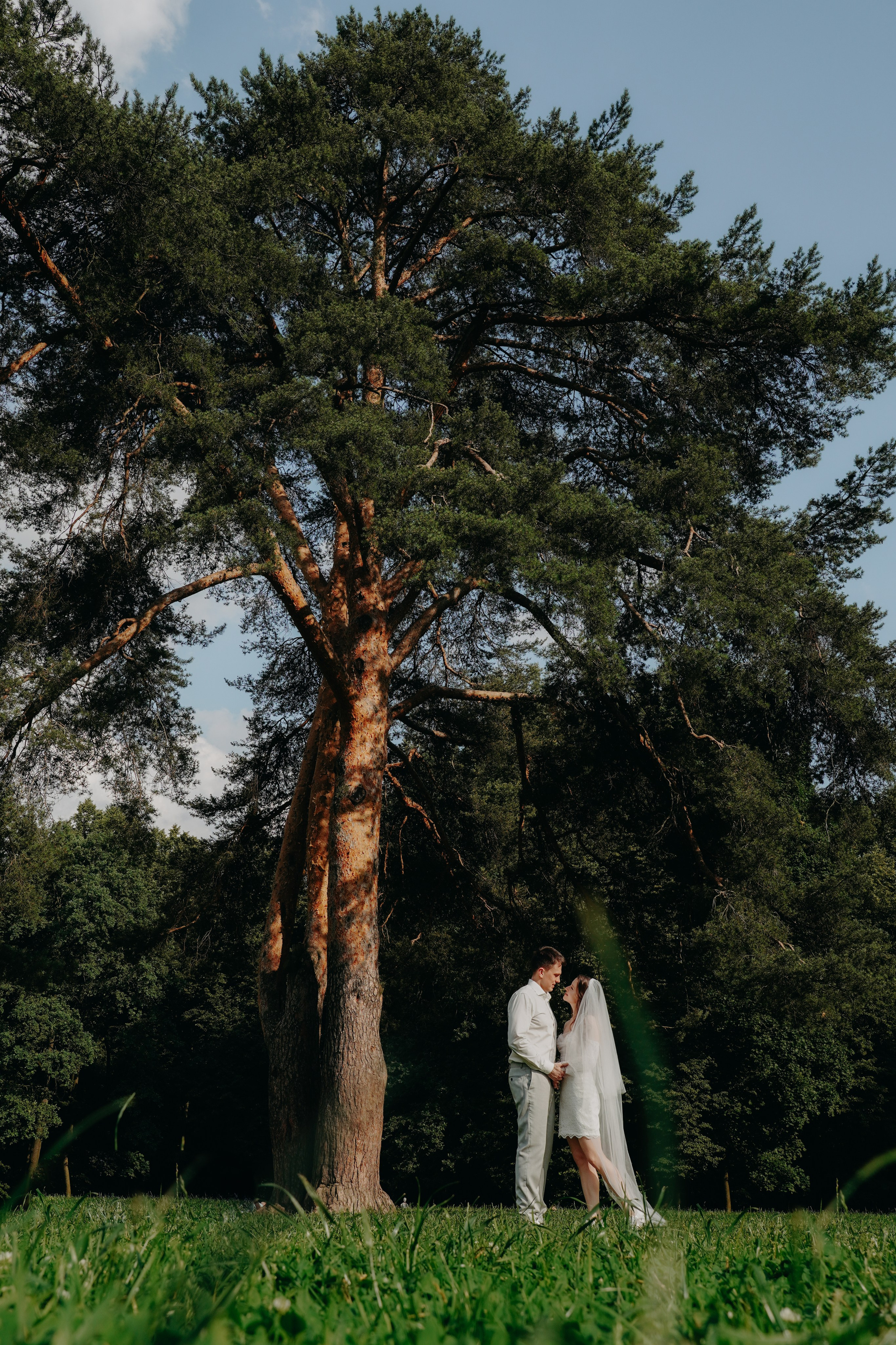 Царицынский дворец. Фото | Видео Контент Мишель Ватаманюк