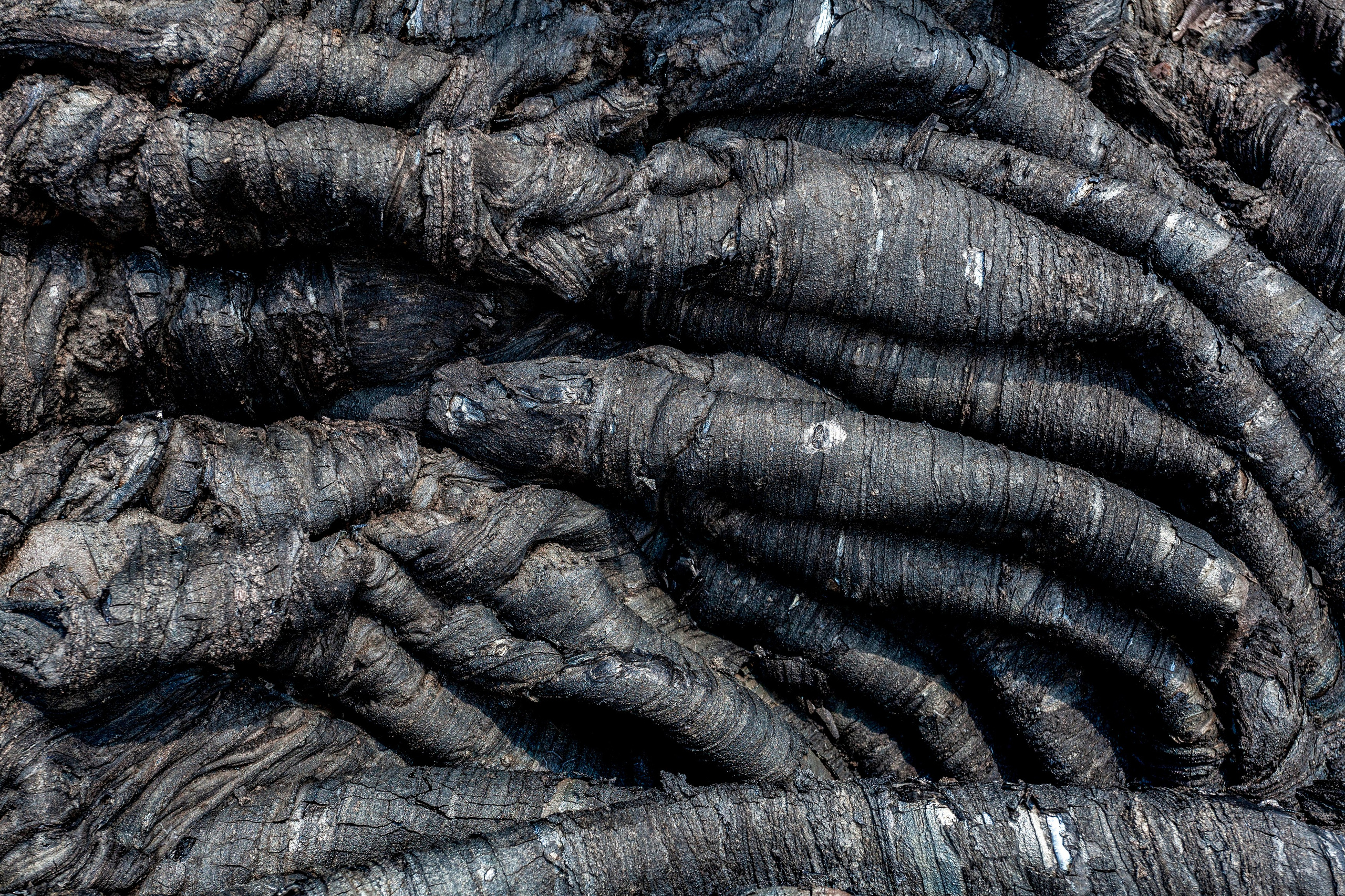 Время Камчатки — кто мы и почему влюблены в полуостров. Время Камчатки: чтобы найти свой путь, нужно скорость умножить на время