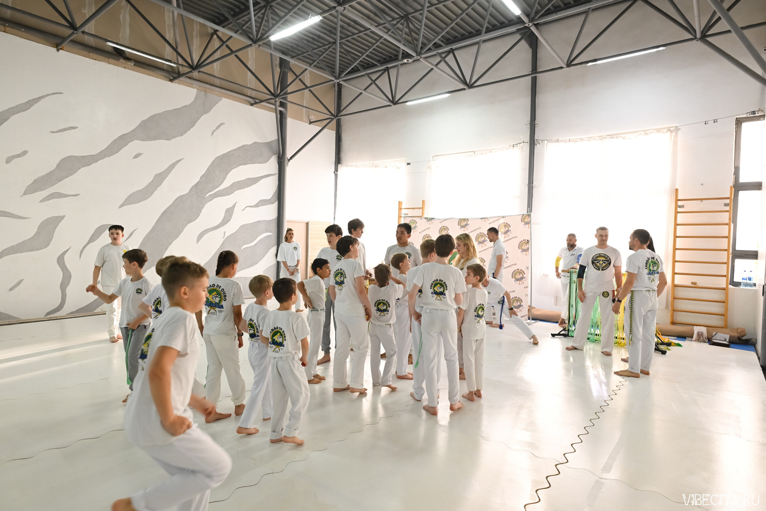 Capoeira: 4-е batizado e Troca de cordao. VIBECITY.RU Вайб Сити Ру Фоторепортажи Фотоотчеты Калининград