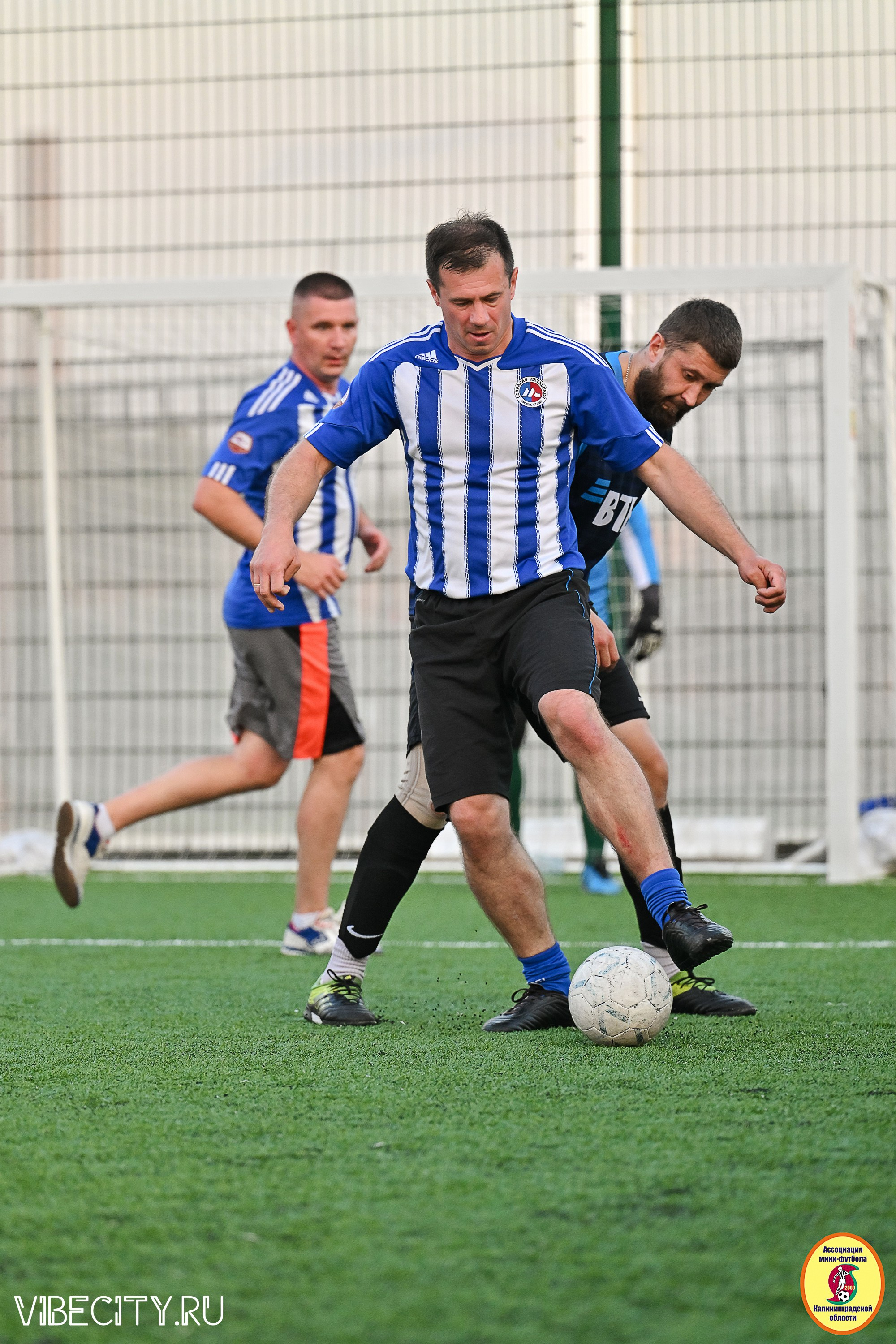 ИГРЫ МИНИ-ФУТБОЛЬНОЙ И КОРПОРАТИВНОЙ ЛИГИ. VIBECITY.RU Вайб Сити Ру Фоторепортажи Фотоотчеты Калининград