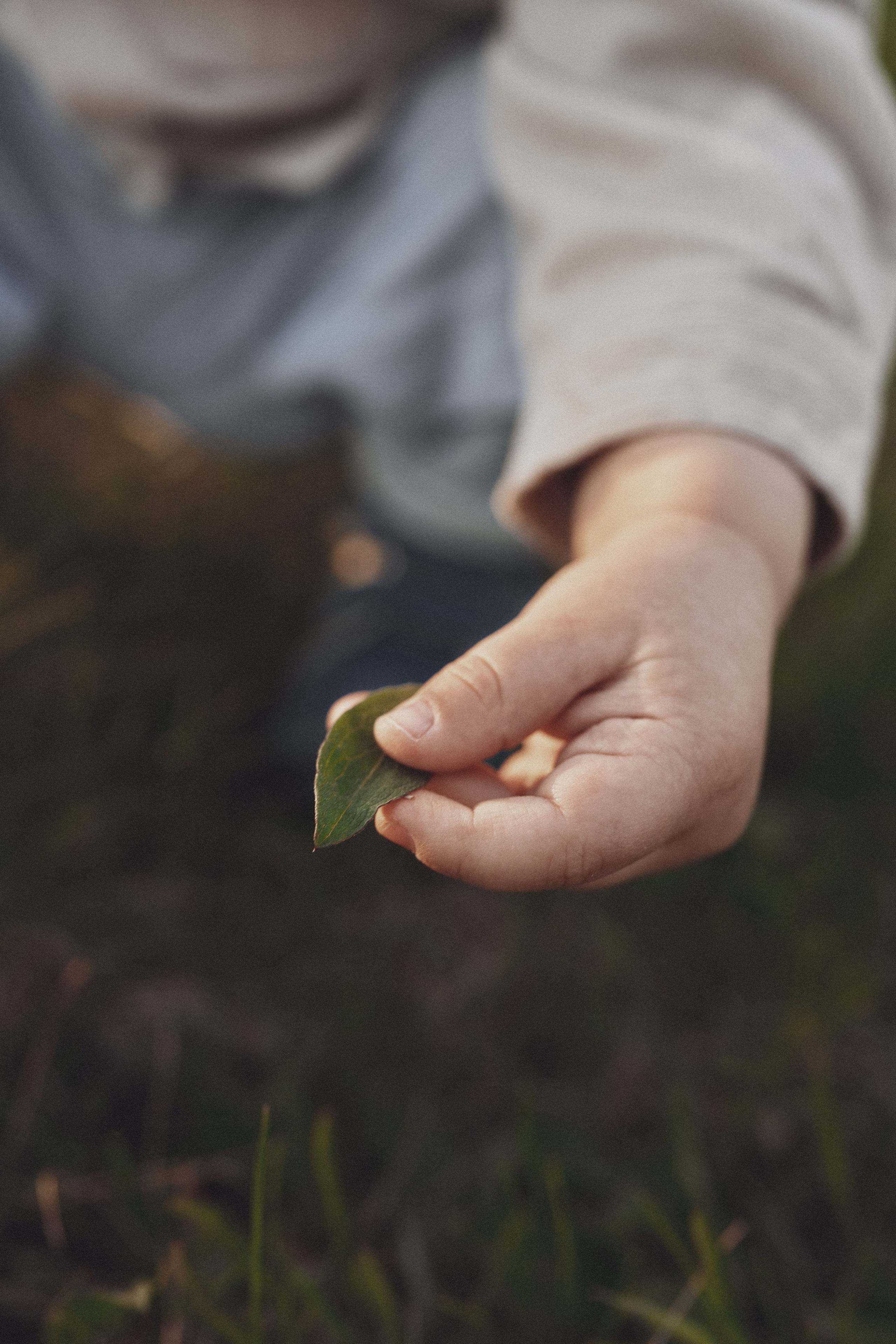 Семейная фотосессия с детьми в Хабаровске — идеи на природе или дома. Фотограф в Хабаровске Дмитрий Лемешков