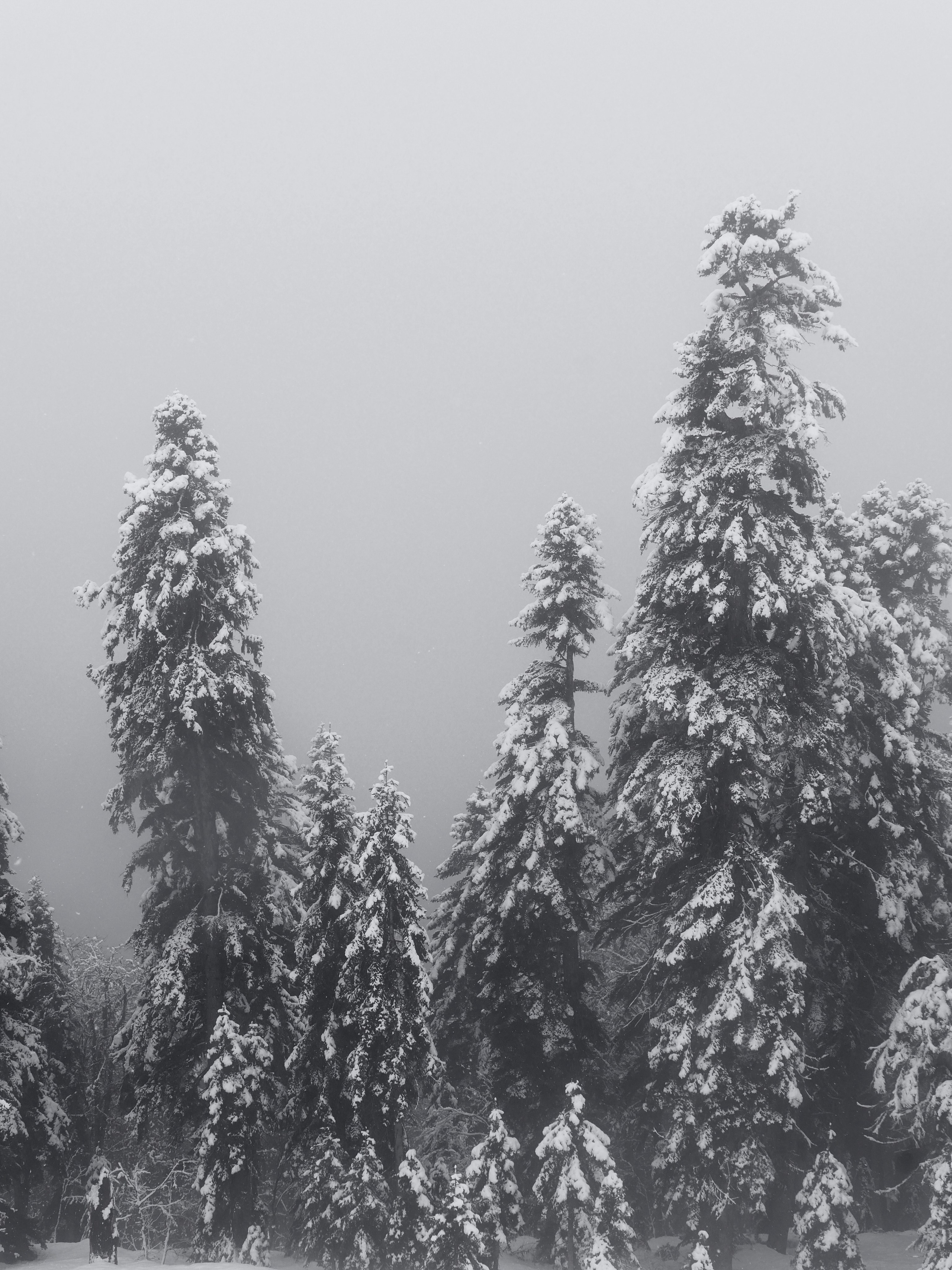 Принты. Марина Горбатова. Фотограф