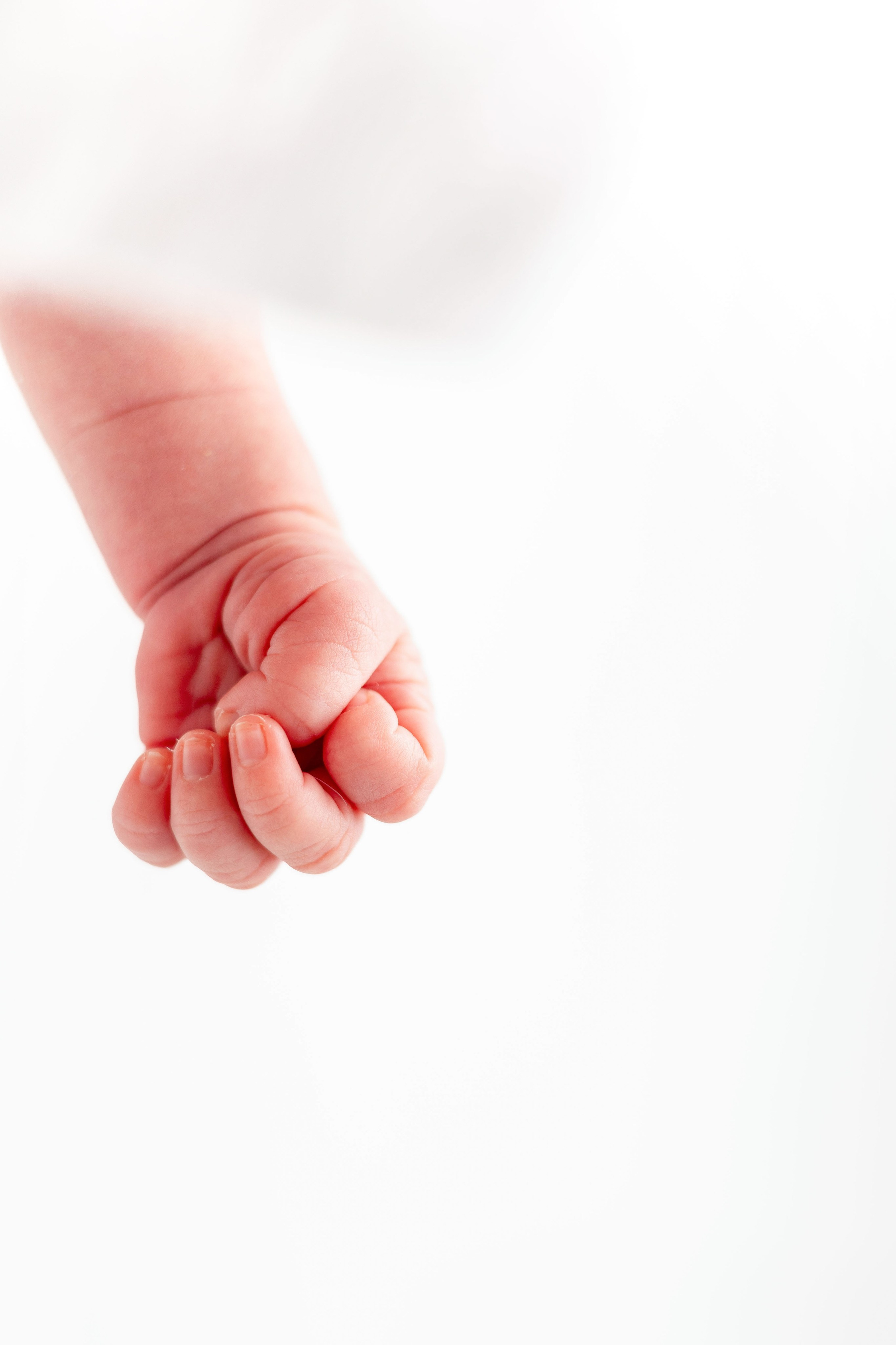 Цены. Фотограф беременности и материнства в Армавире Саломатина Полина