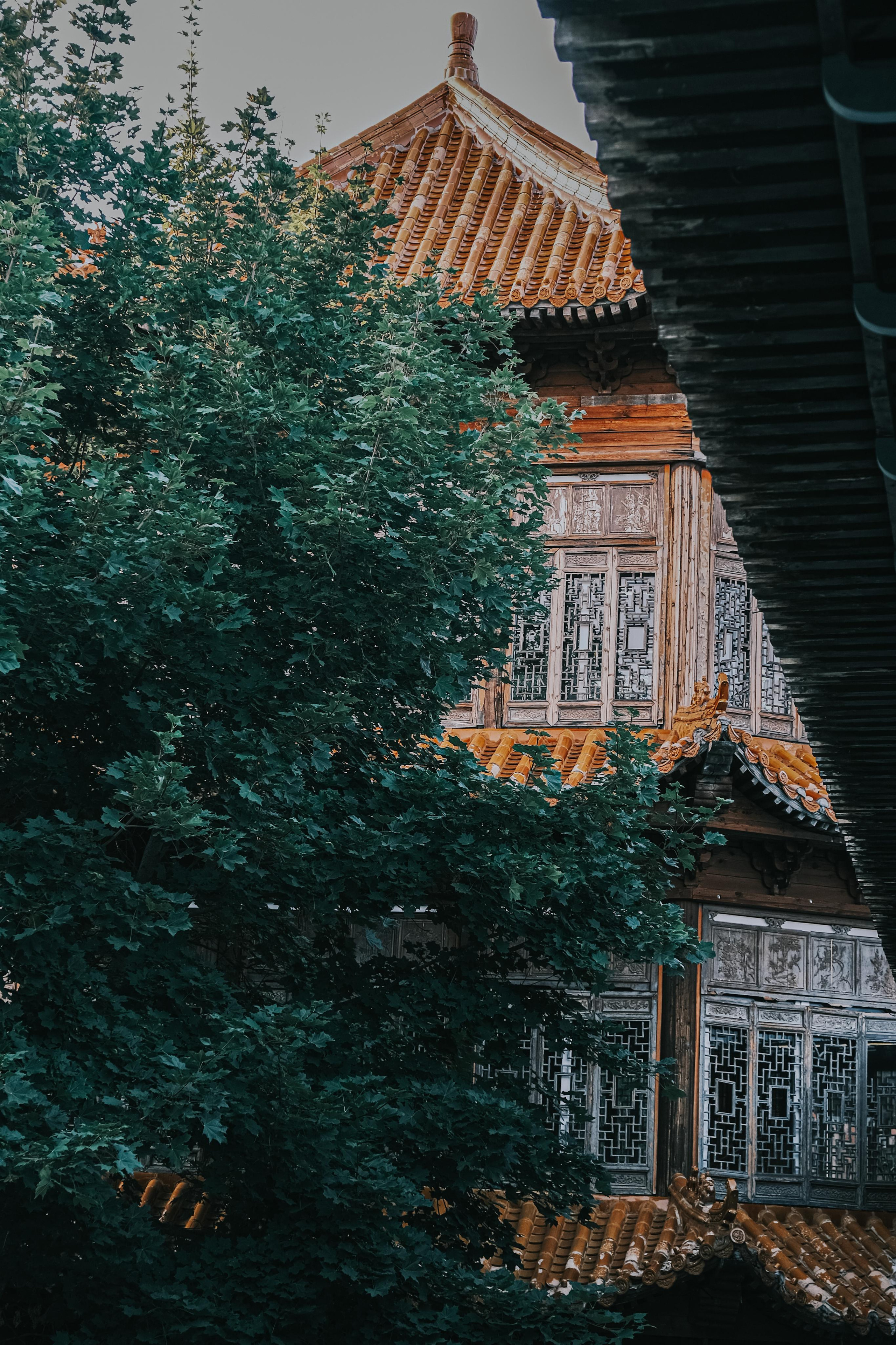 Заброшенный парк аттракционов ЧАСТЬ 3. Фотограф Москва. Киселева Елизавета