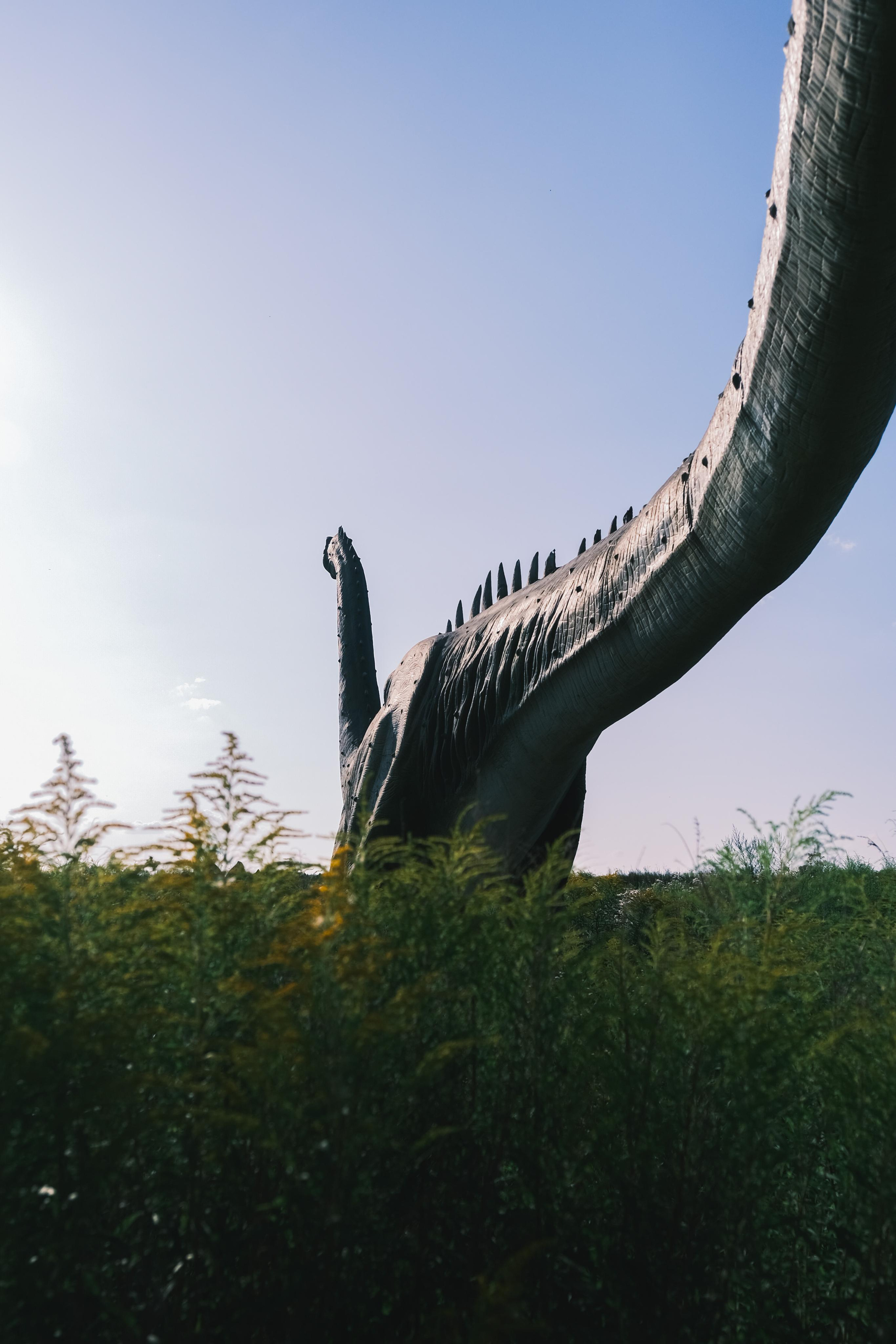 Заброшенный парк аттракционов ЧАСТЬ2. Фотограф Москва. Киселева Елизавета