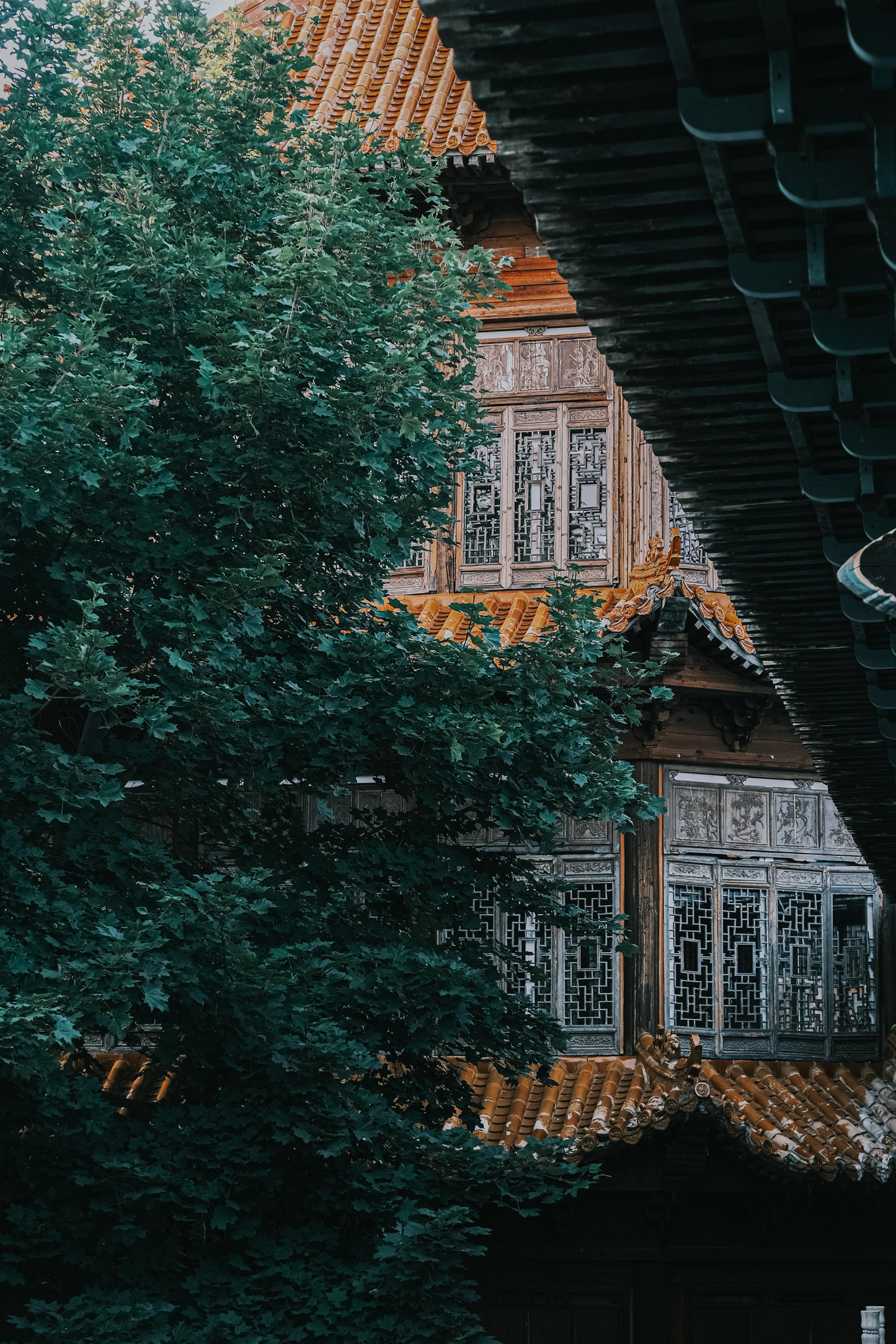 Заброшенный парк аттракционов ЧАСТЬ 3. Фотограф Москва. Киселева Елизавета